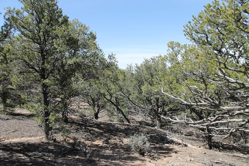 Sangre De Cristo Ranches Tract 1599 photo 7