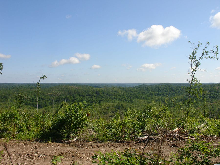 Antler Ridge Tract 29 photo 4