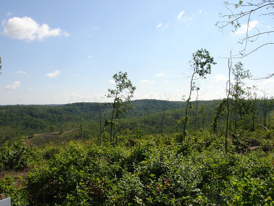 Antler Ridge Tract 29 photo 5