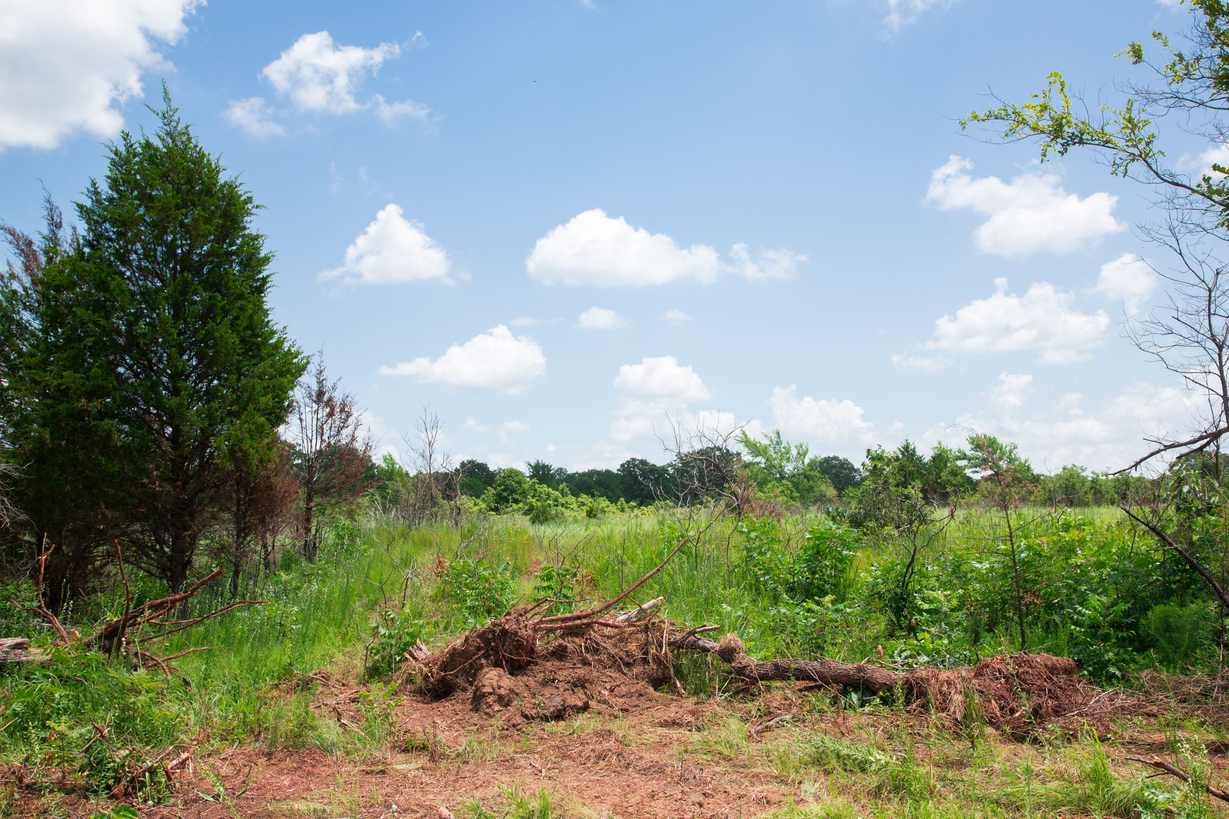 Deep Fork Ranch Tract 23 photo 3