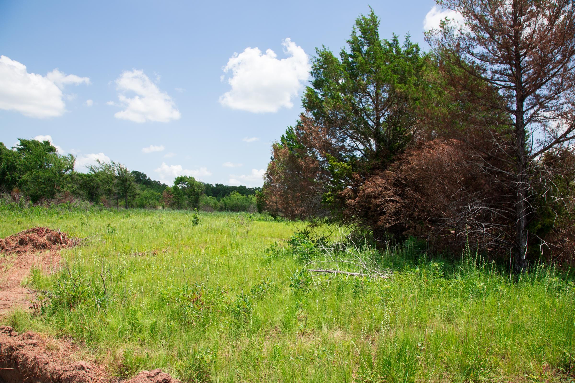 Deep Fork Ranch Tract 23 photo 4