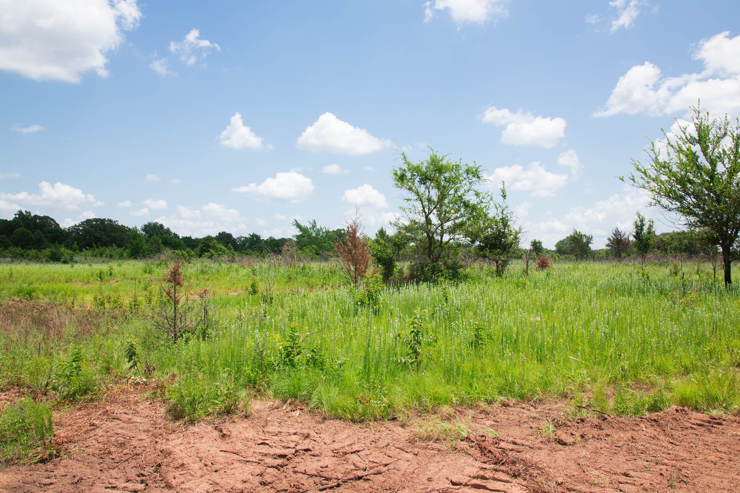 Deep Fork Ranch Tract 23 photo 5