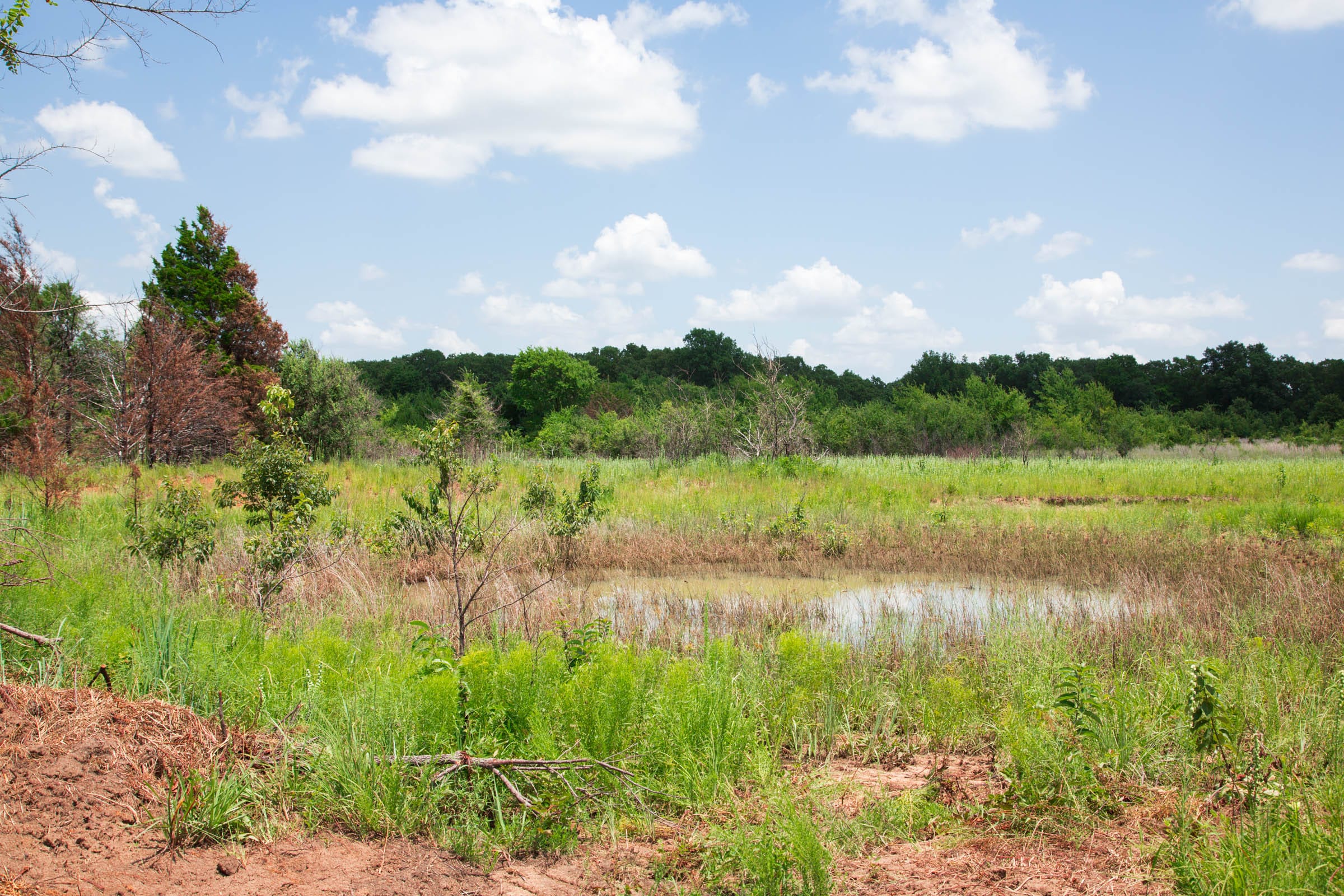 Deep Fork Ranch Tract 23 photo 6