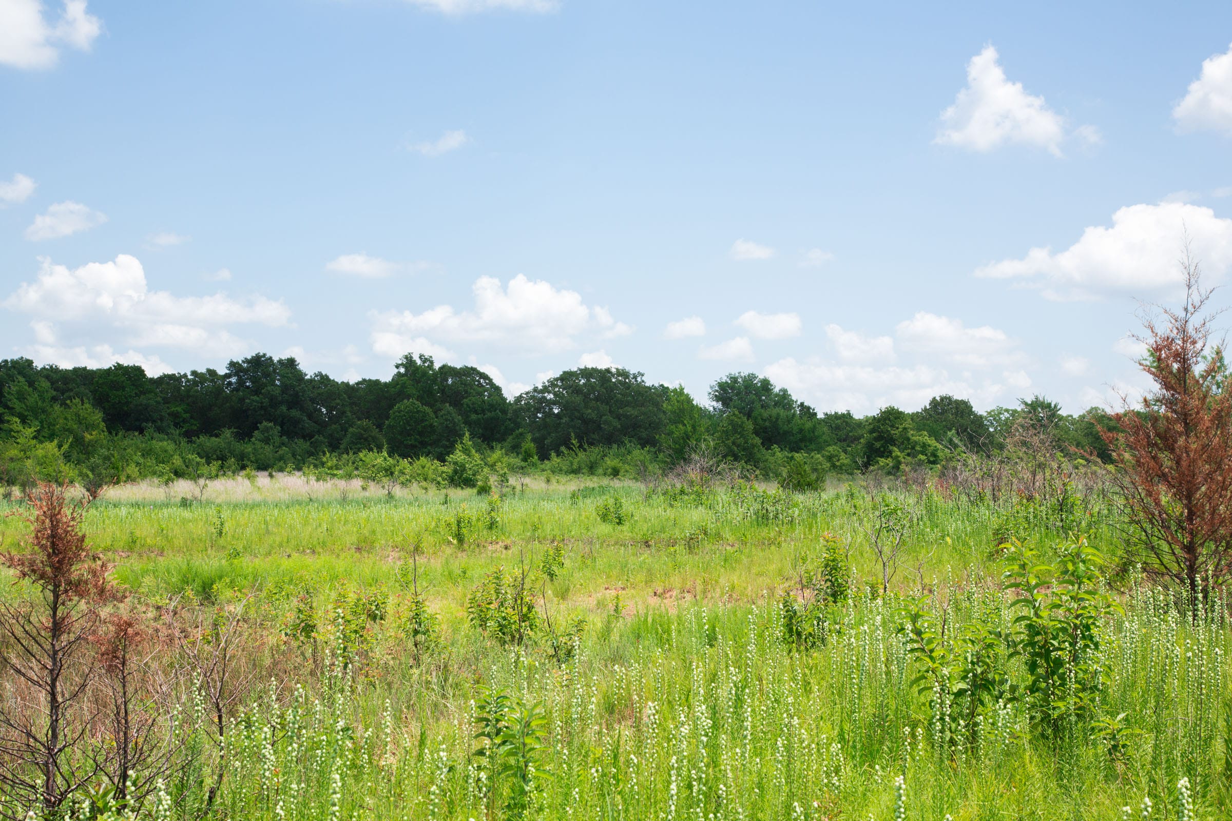 Deep Fork Ranch Tract 23 photo 7