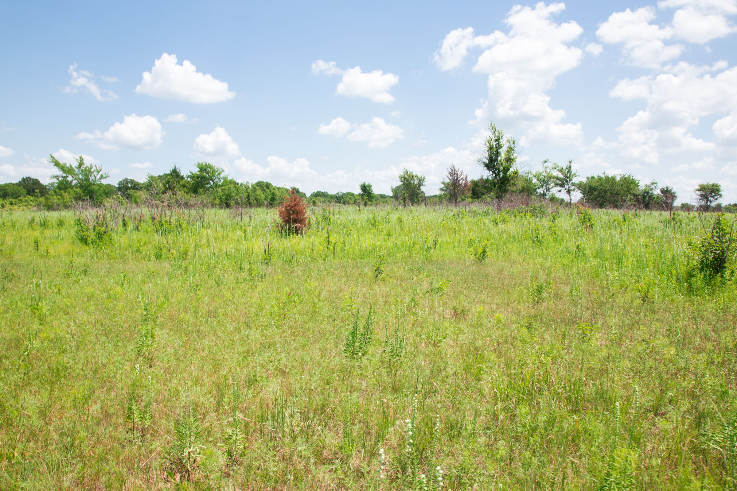 Deep Fork Ranch Tract 23 photo 8