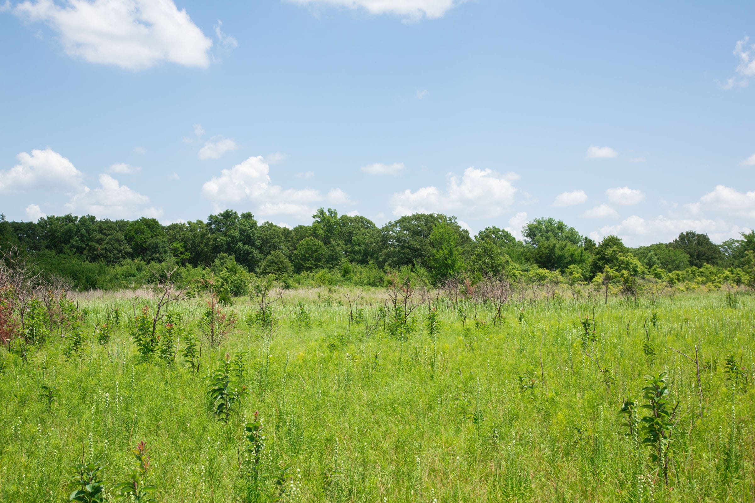 Deep Fork Ranch Tract 23 photo 9