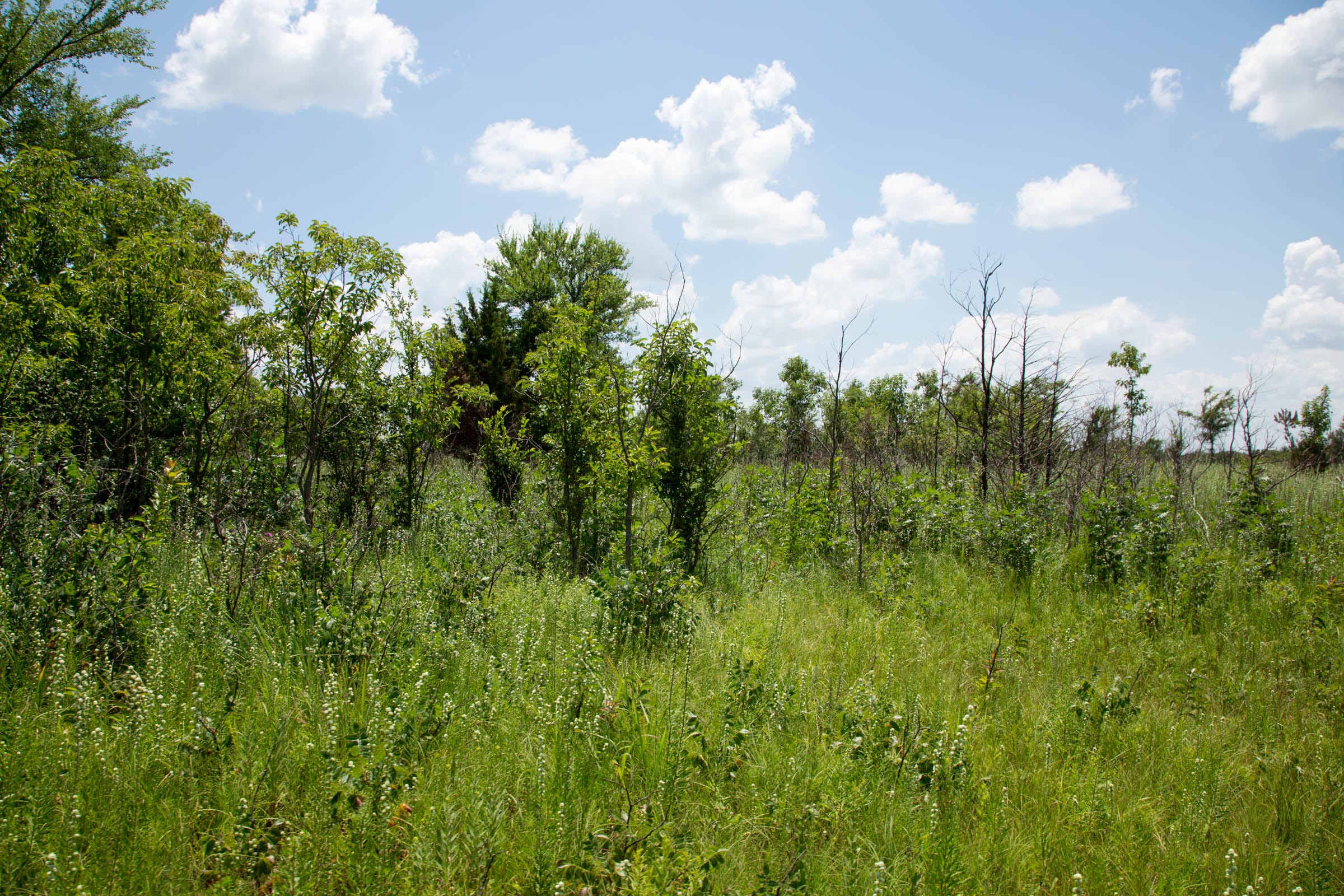 Deep Fork Ranch Tract 23 photo 11
