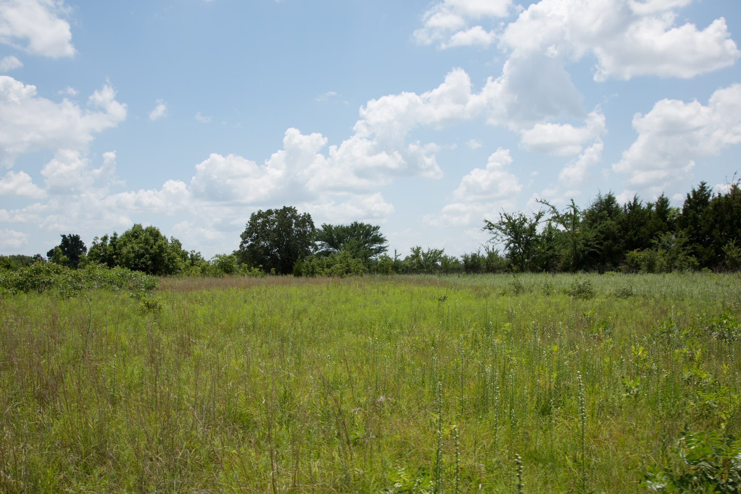 Deep Fork Ranch Tract 23 photo 12