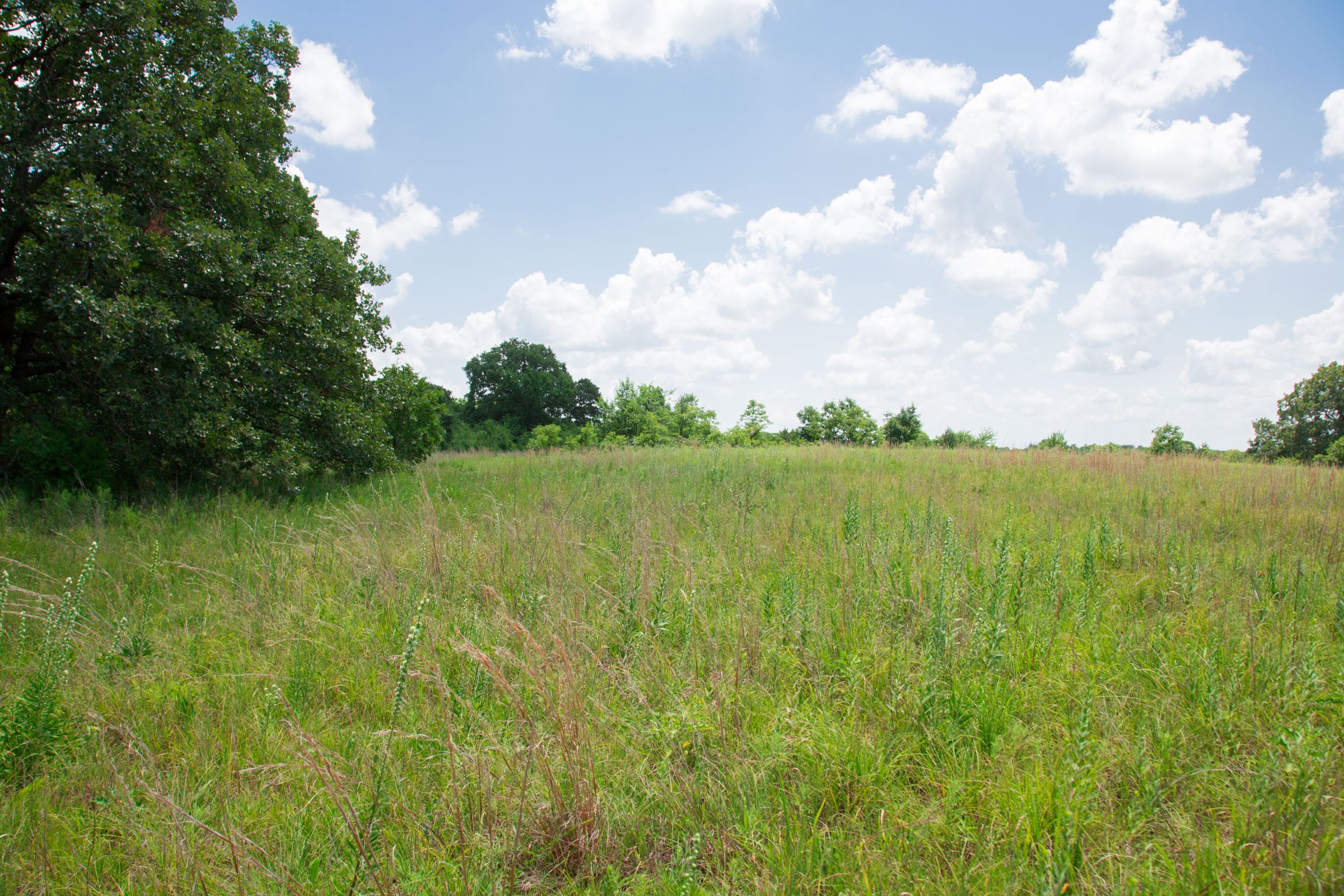 Deep Fork Ranch Tract 23 photo 14