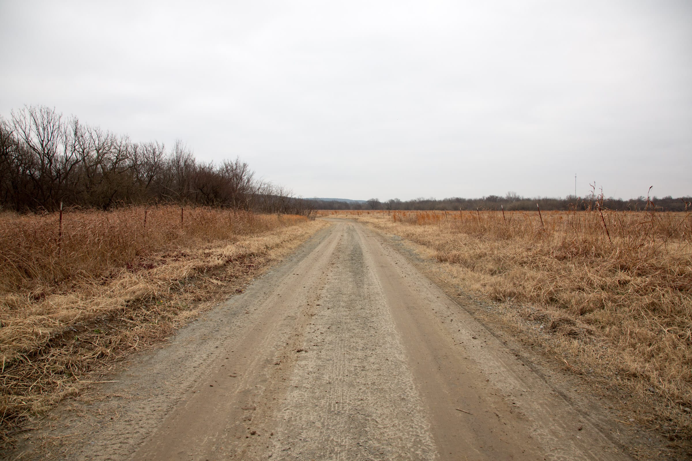 Canadian Plains Tract 30 photo 1