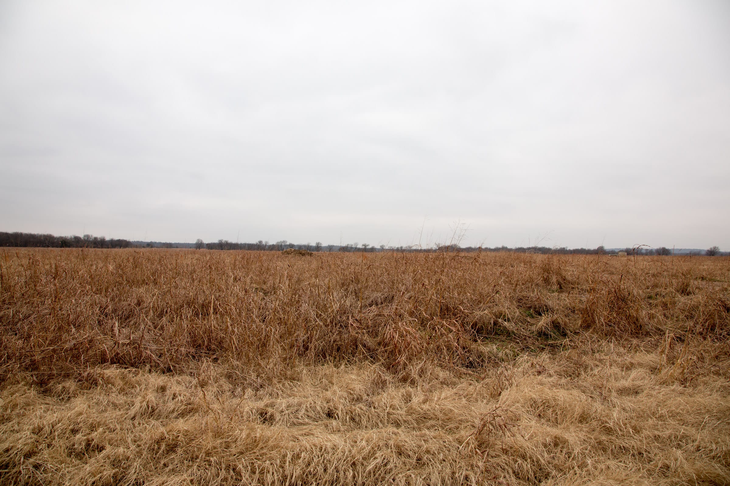 Canadian Plains Tract 30 photo 2