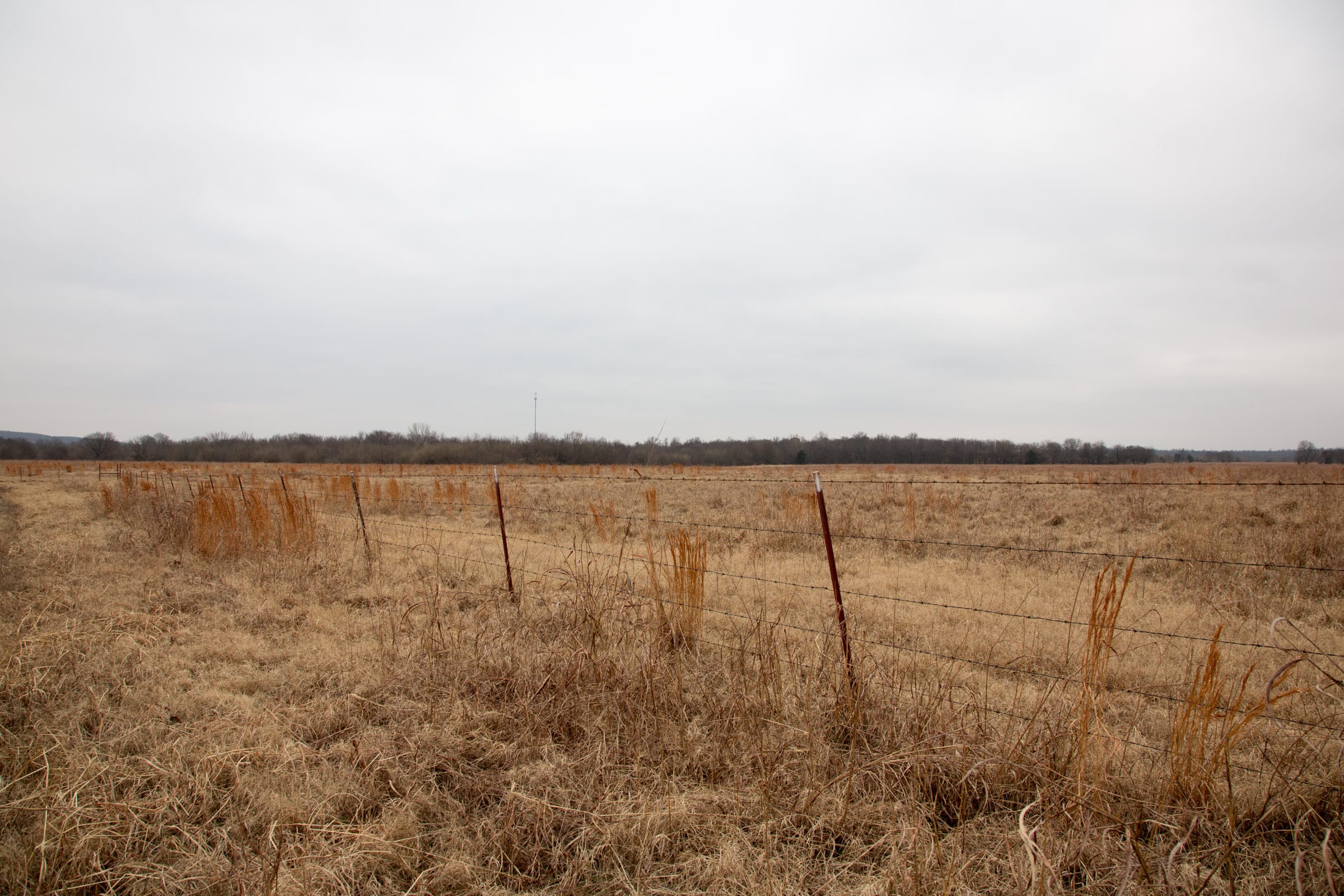 Canadian Plains Tract 30 photo 3