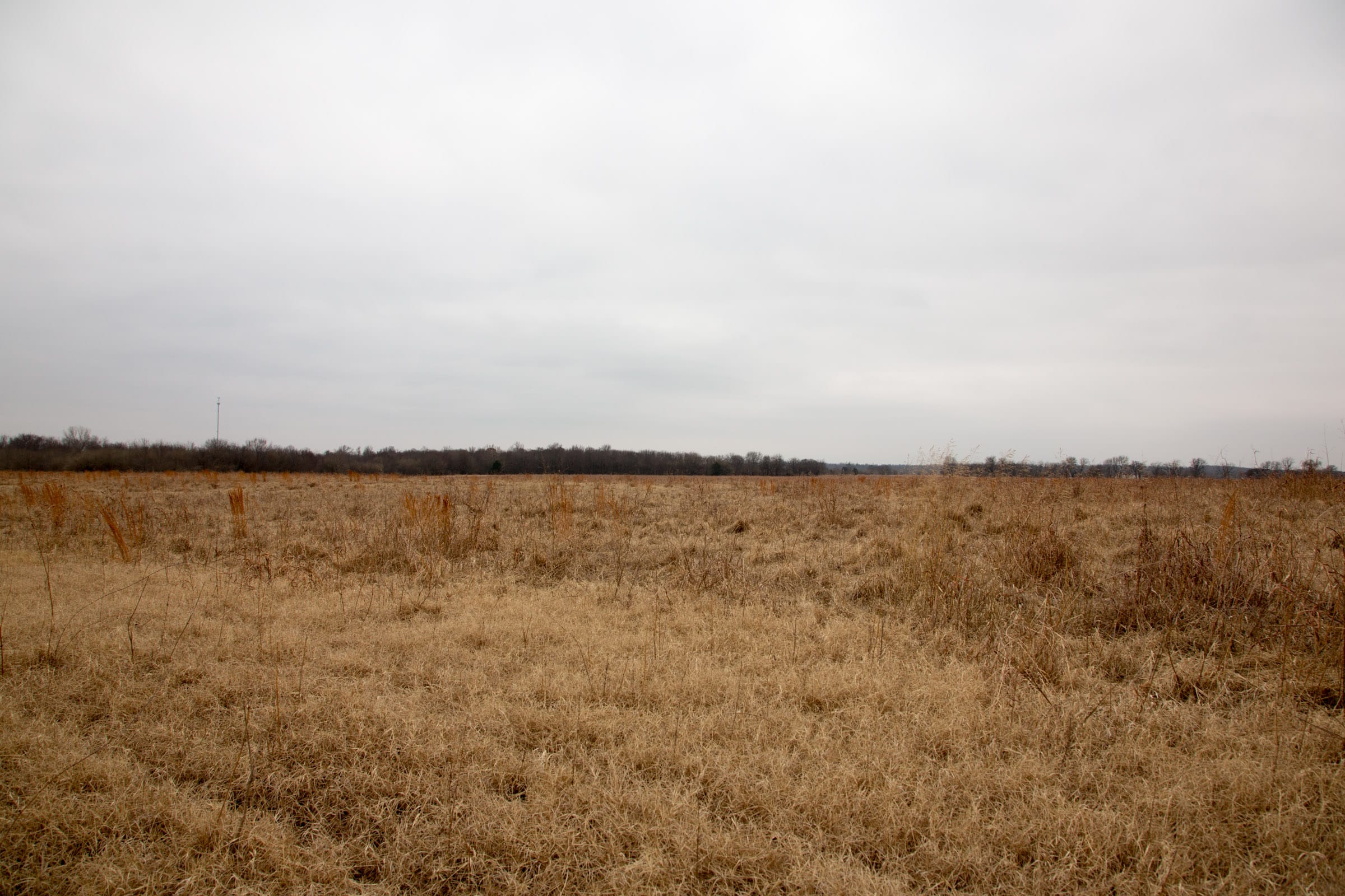 Canadian Plains Tract 30 photo 4