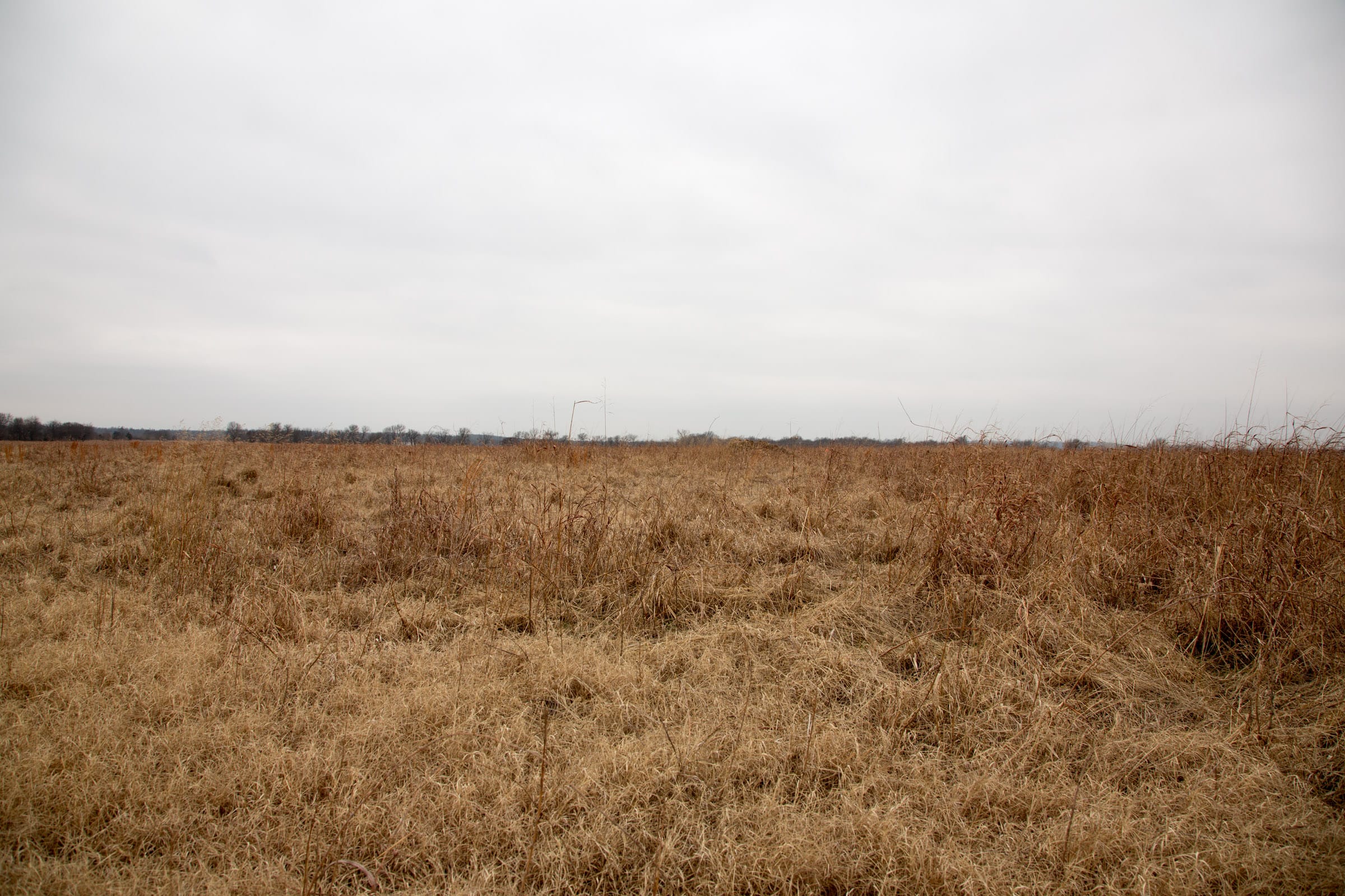 Canadian Plains Tract 30 photo 5
