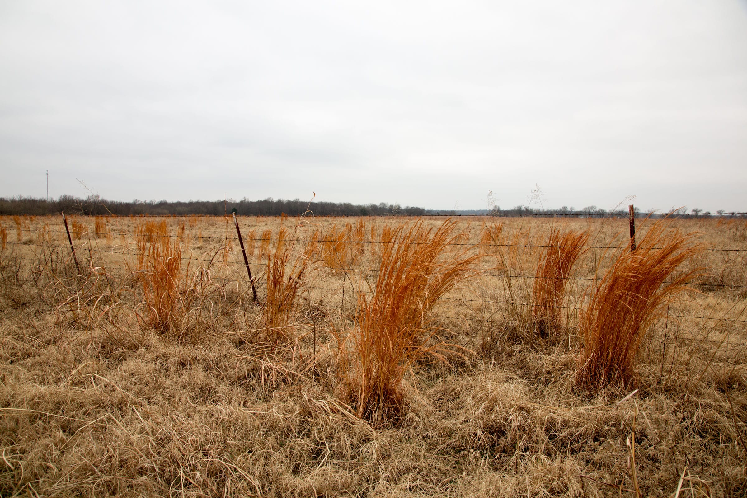 Canadian Plains Tract 30 photo 6