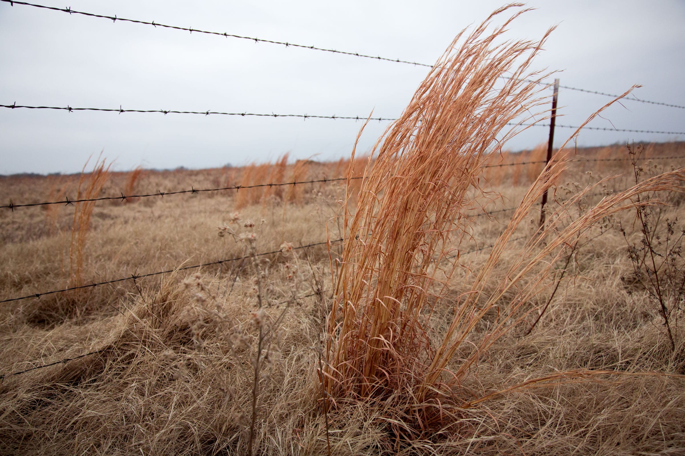 Canadian Plains Tract 30 photo 7