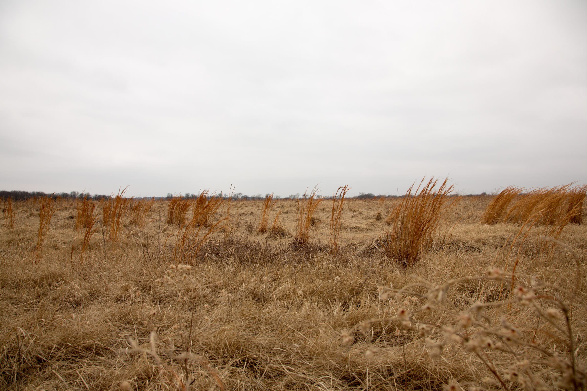Canadian Plains Tract 30 photo 8