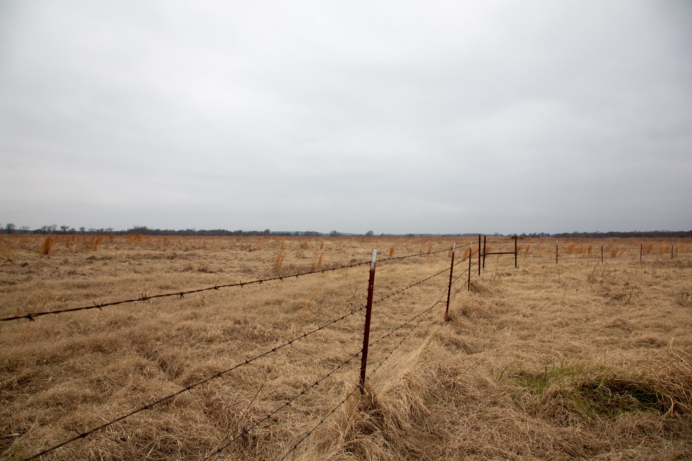 Canadian Plains Tract 30 photo 11