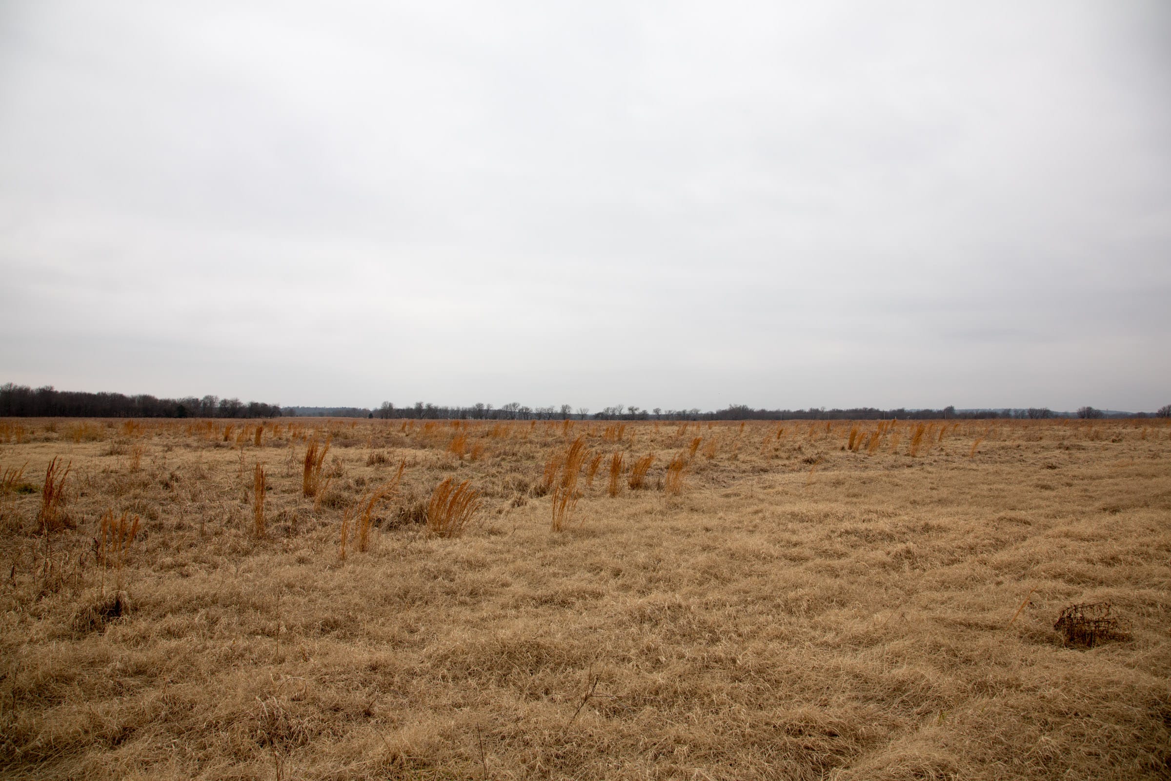 Canadian Plains Tract 30 photo 12