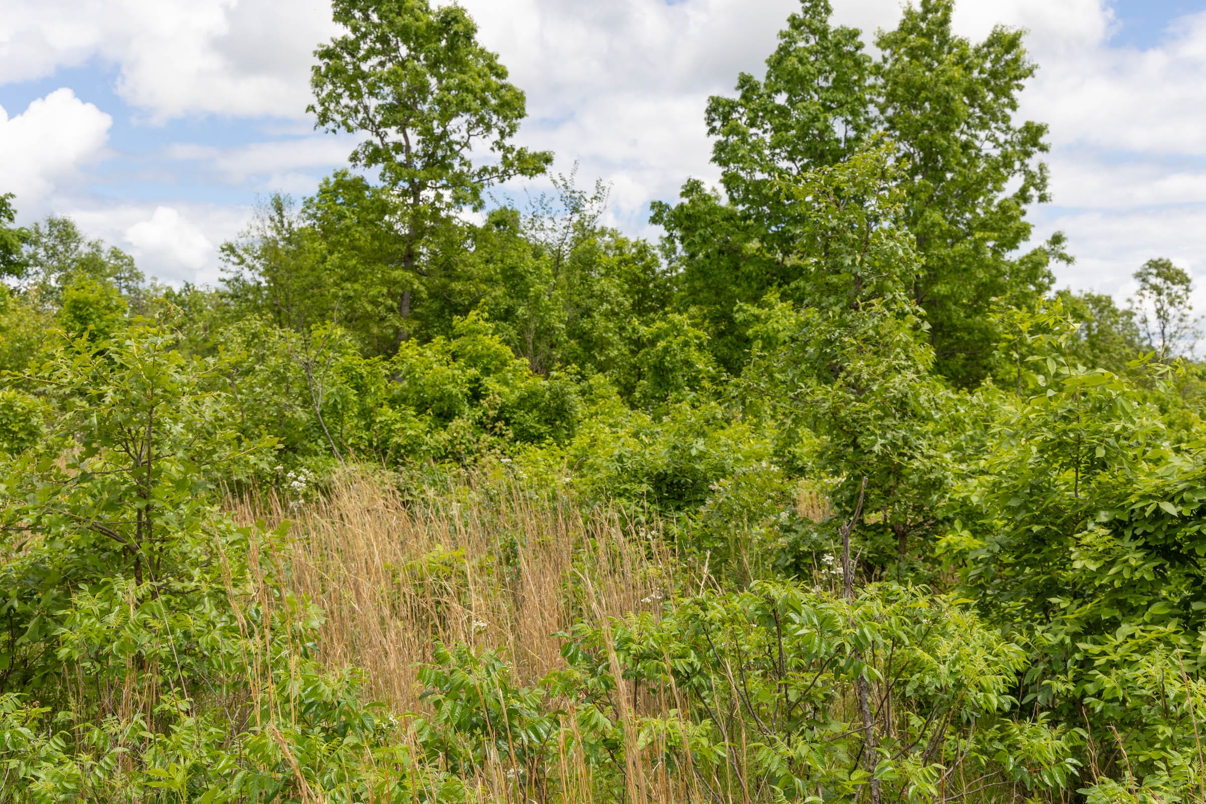 Sleepy Hollow Phase II Tract 83 photo 11
