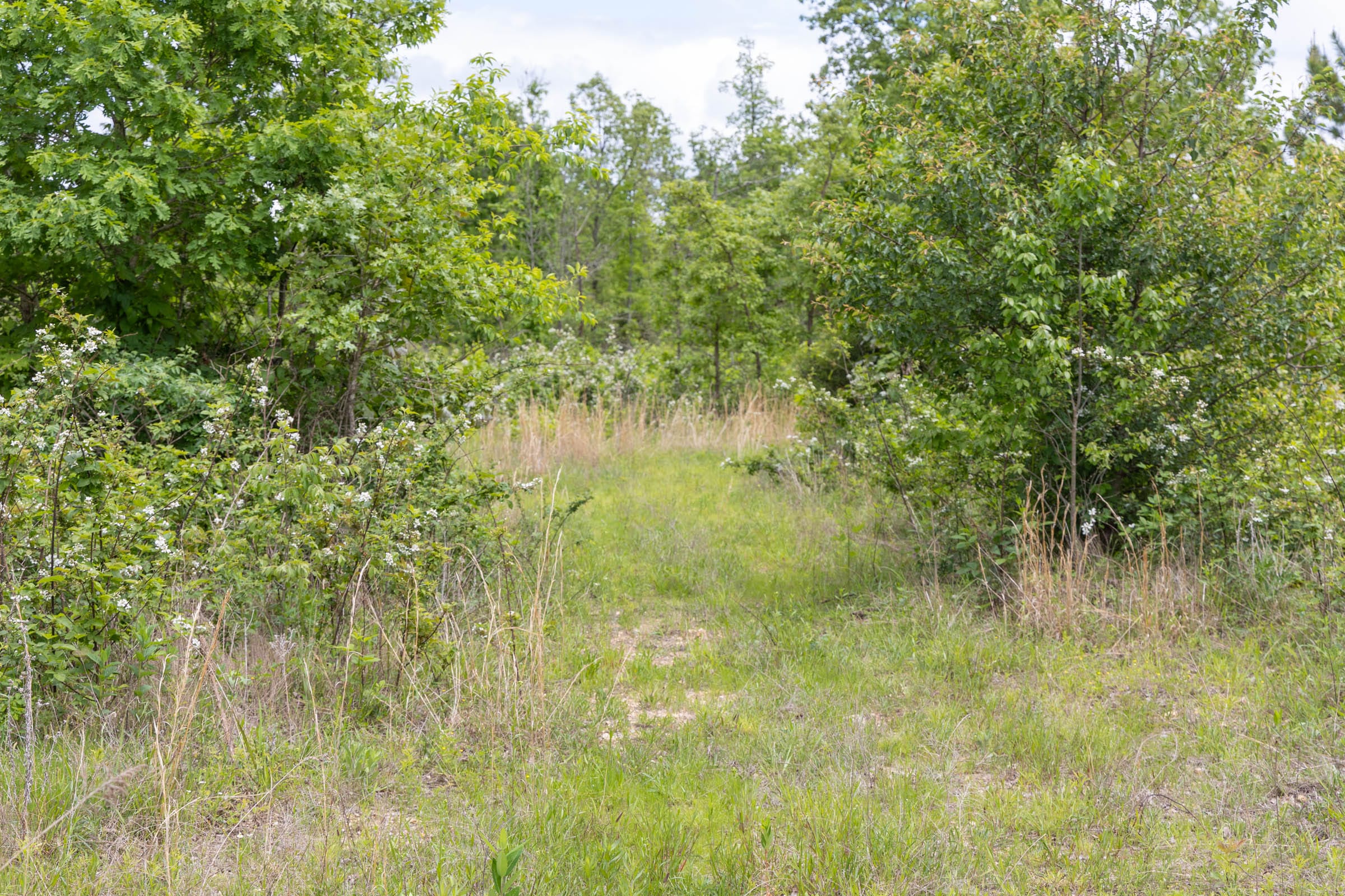 Sleepy Hollow Phase II Tract 83 photo 9