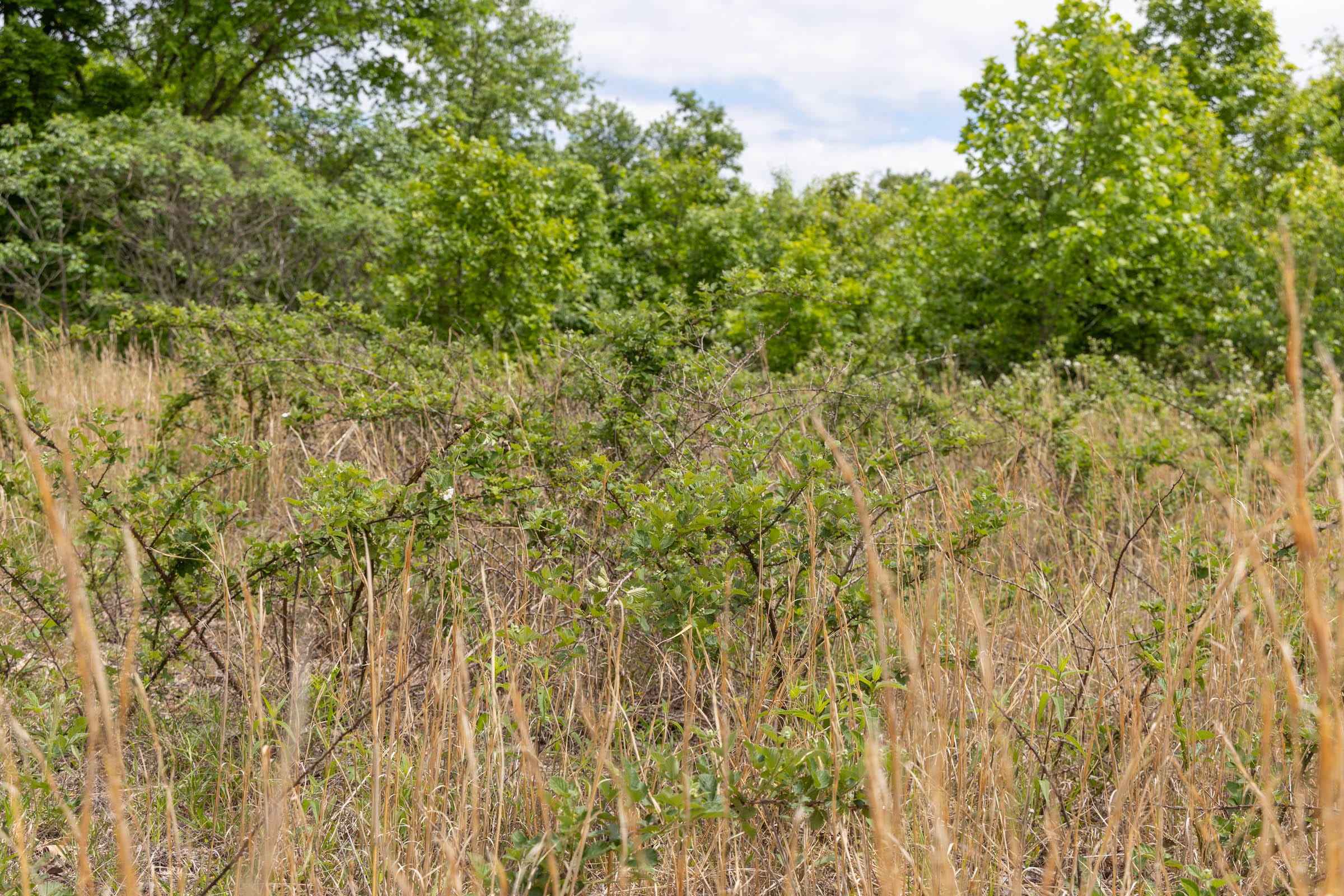 Sleepy Hollow Phase II Tract 83 photo 3