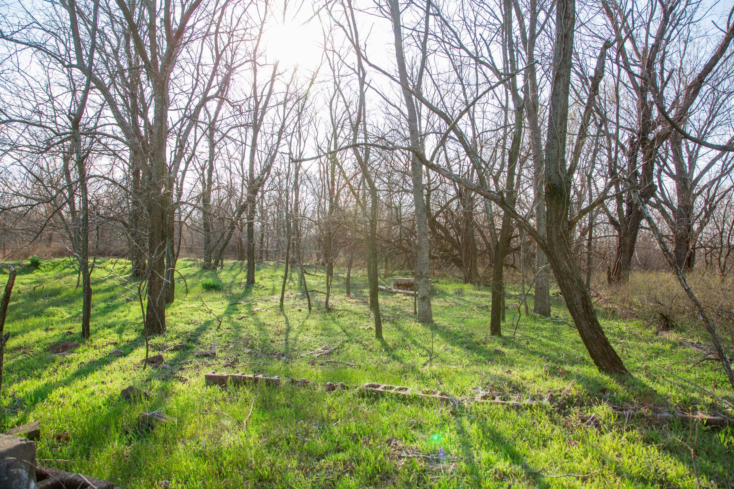 Eufaula Cove Tract 8 photo 3