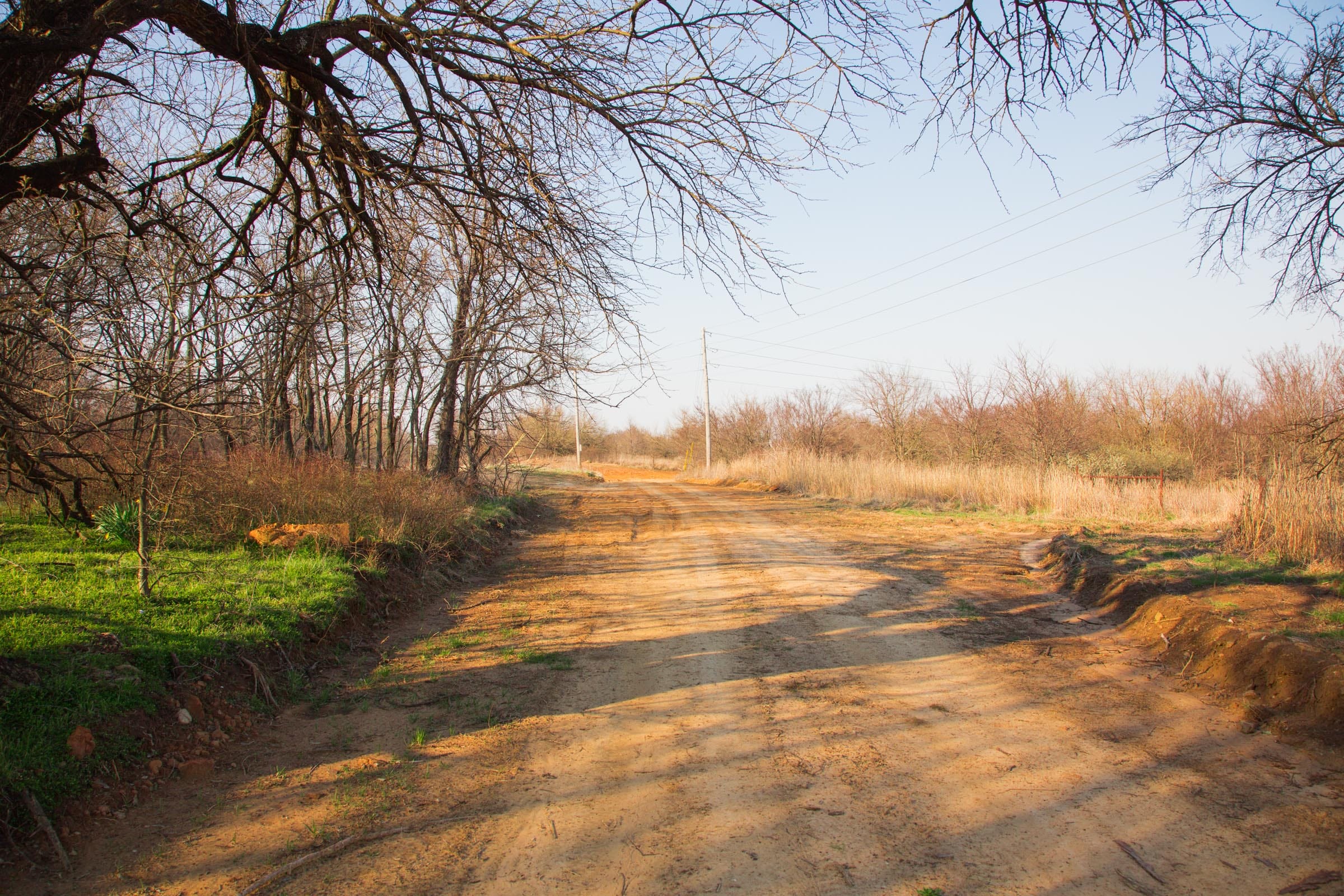 Eufaula Cove Tract 8 photo 4
