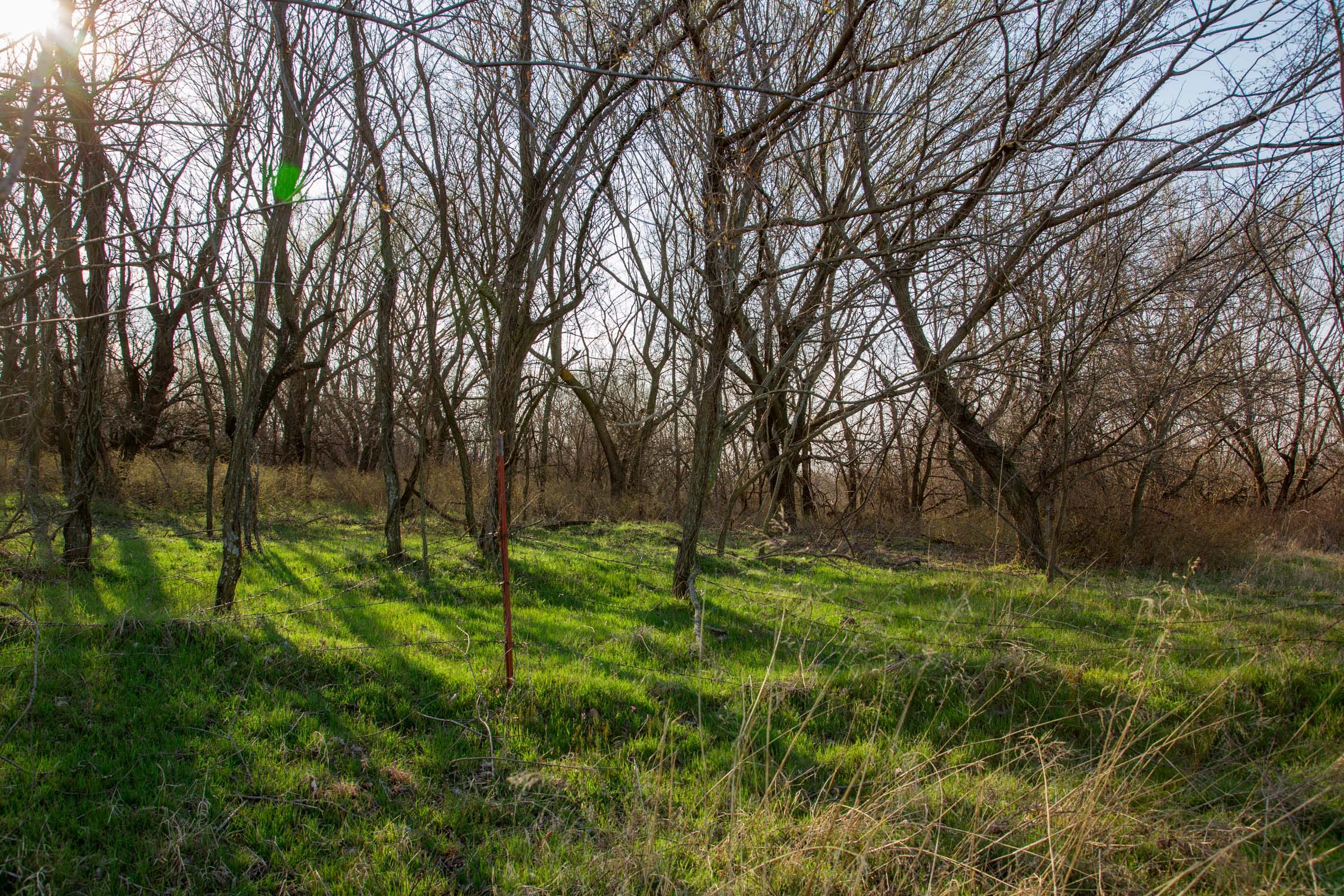 Eufaula Cove Tract 8 photo 7