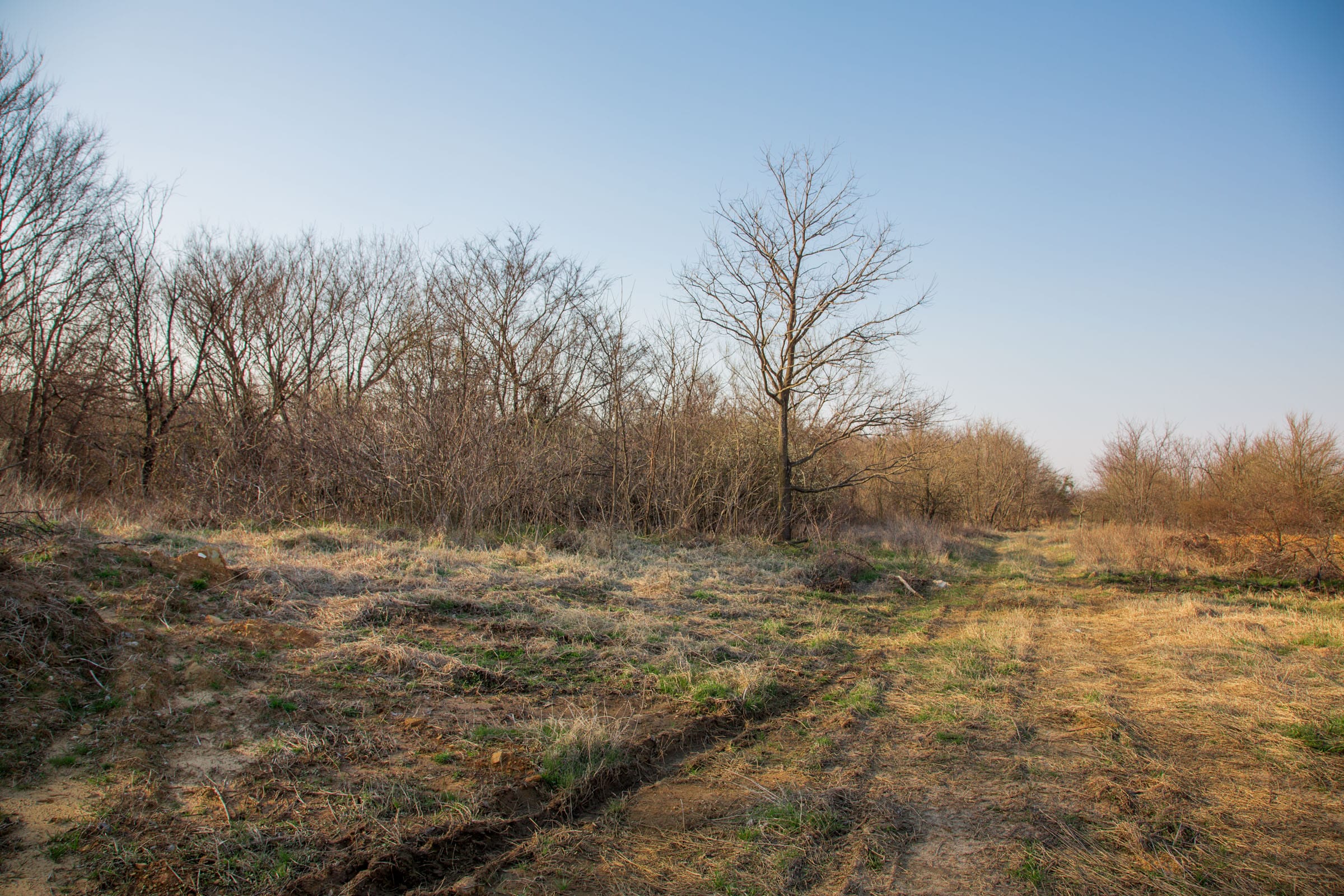 Eufaula Cove Tract 8 photo 8