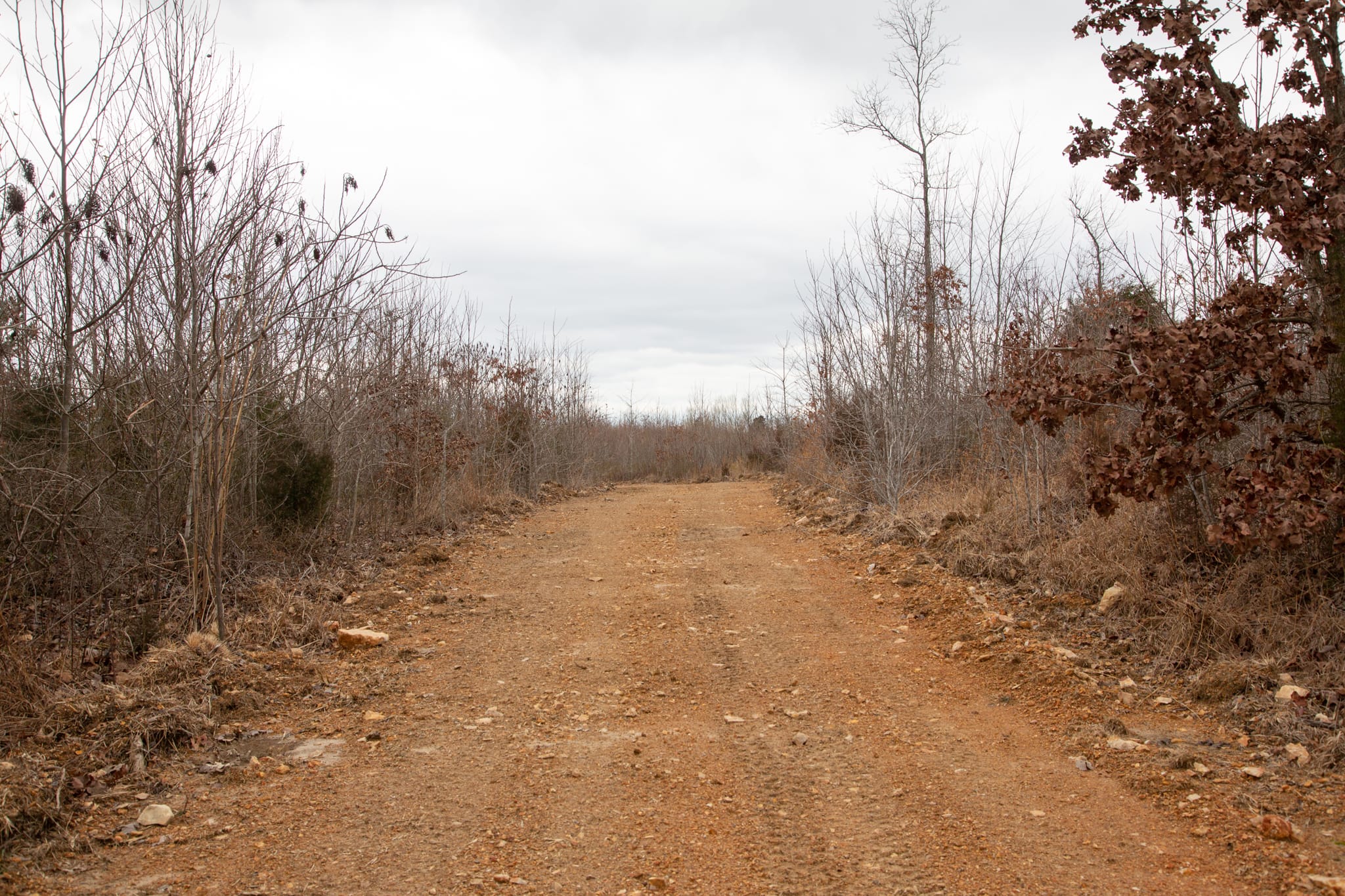 Southwind Ranch Tract 16 photo 2