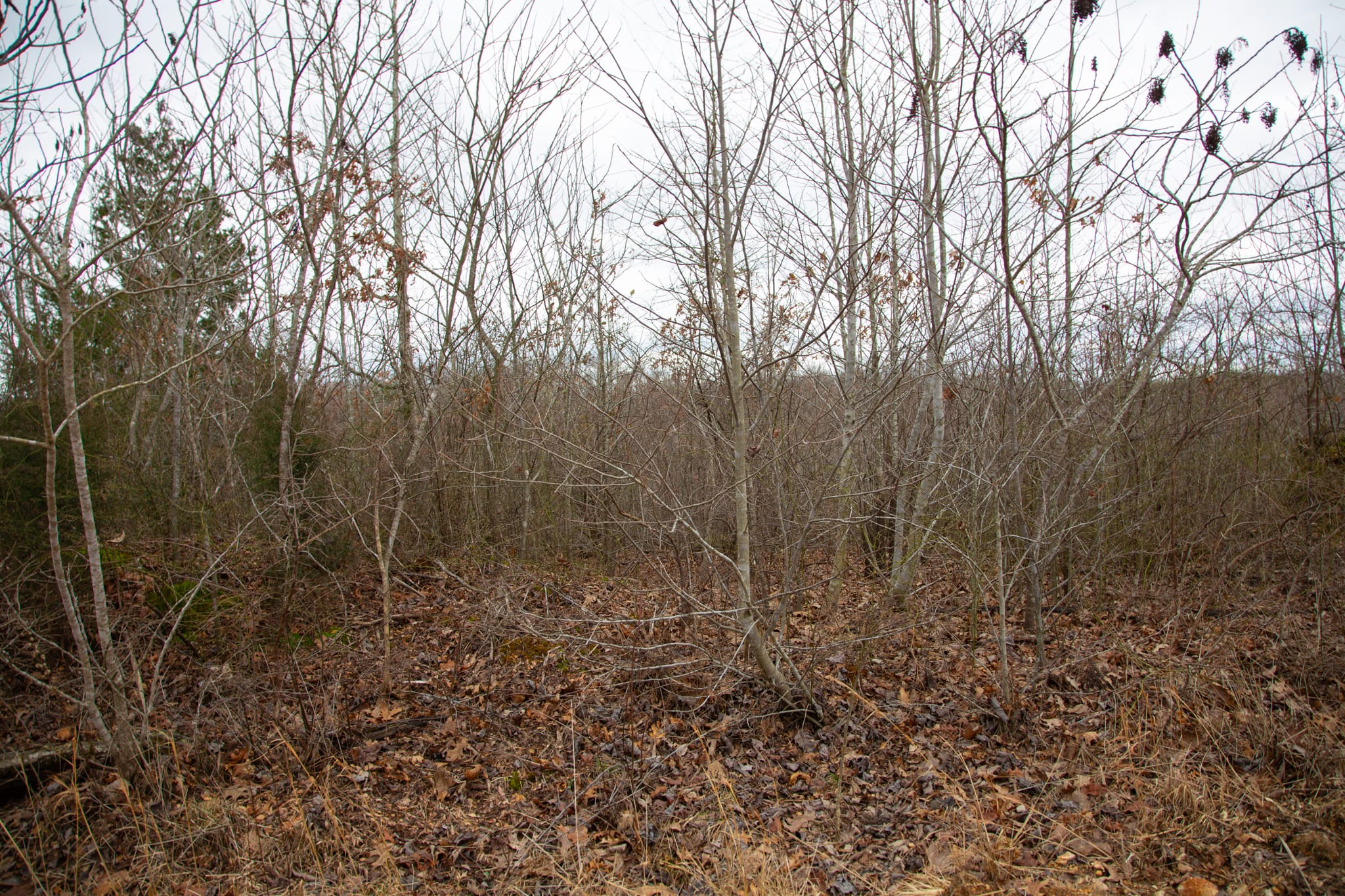 Southwind Ranch Tract 16 photo 1