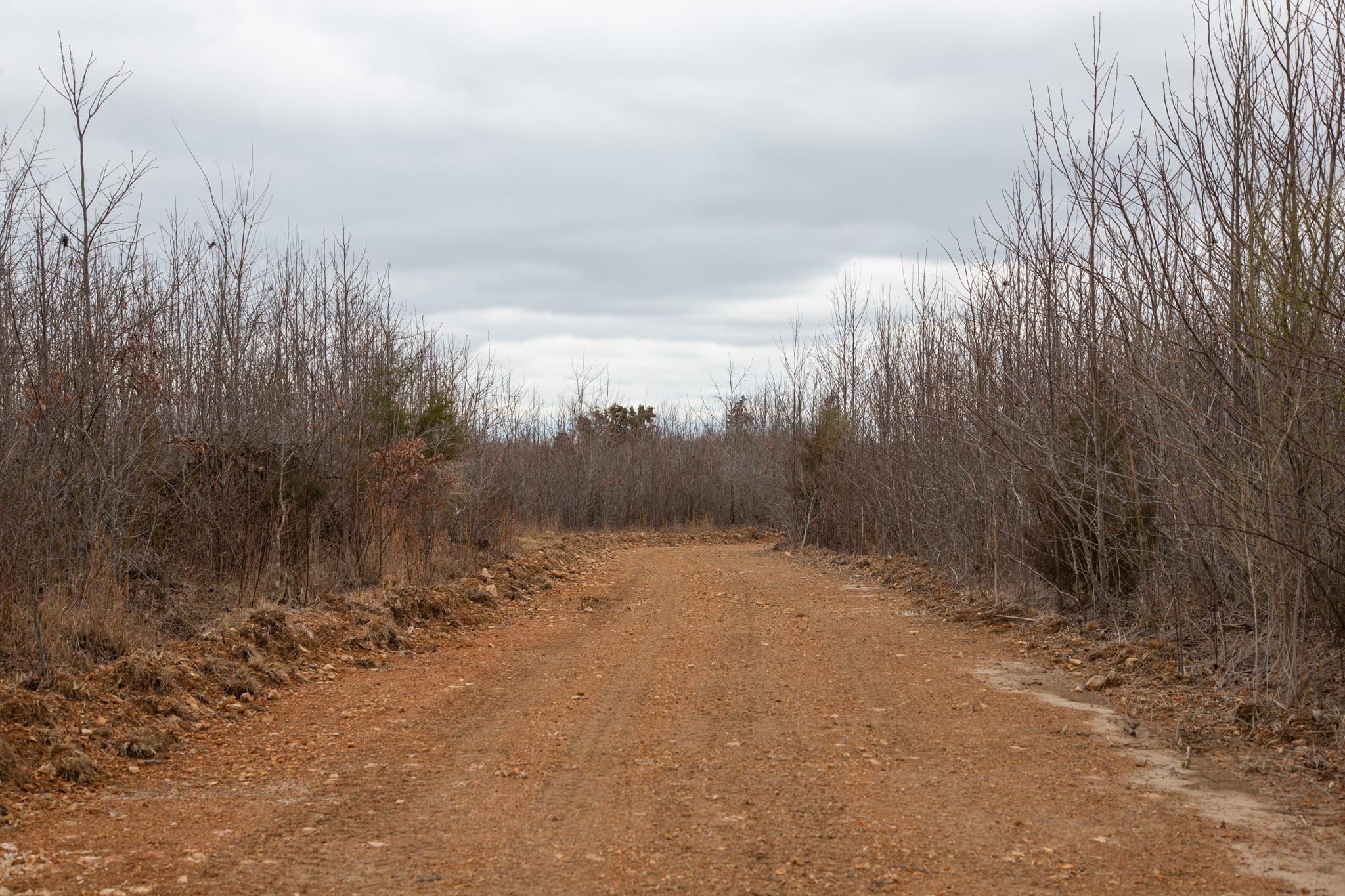 Southwind Ranch Tract 16 photo 6