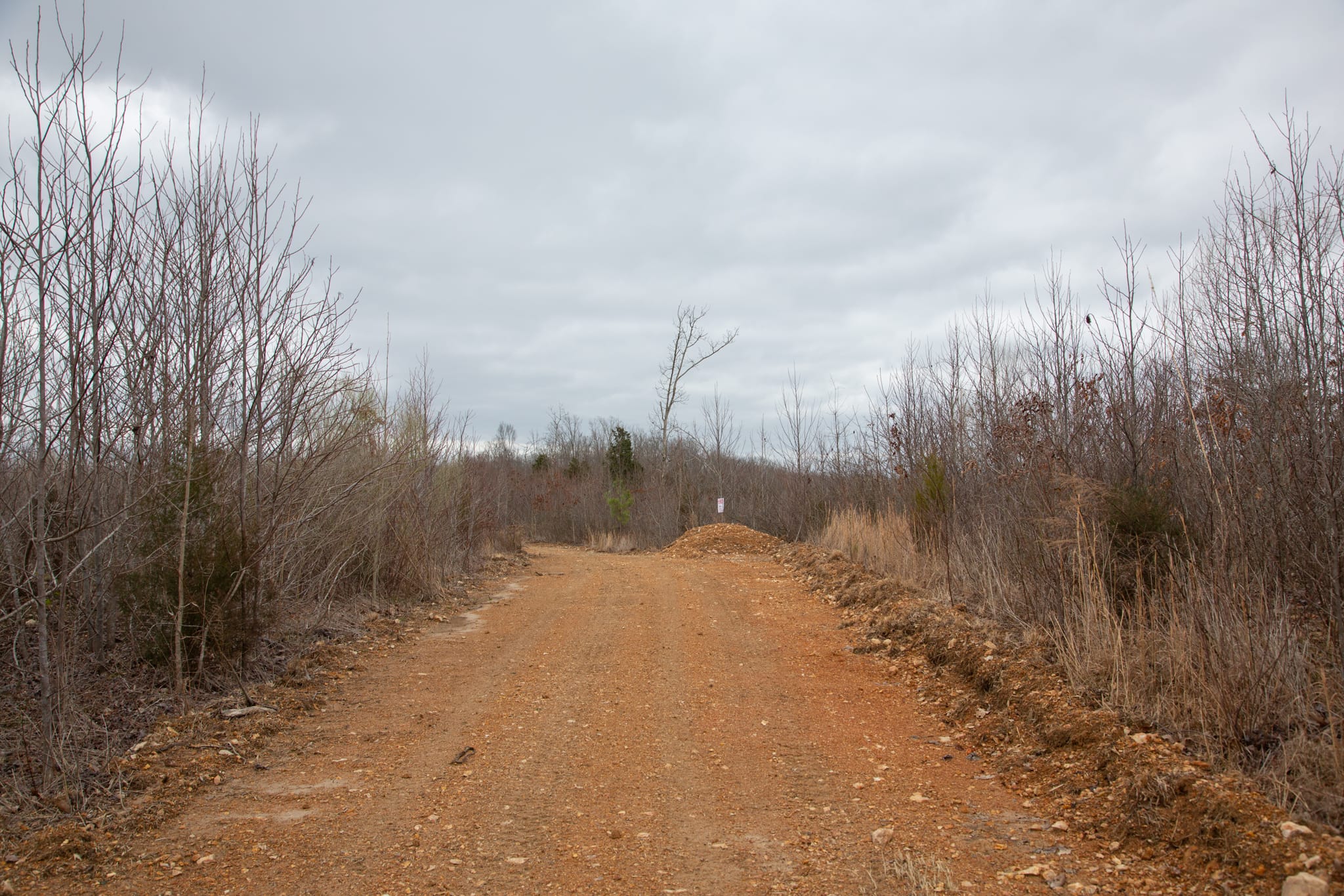 Southwind Ranch Tract 16 photo 11