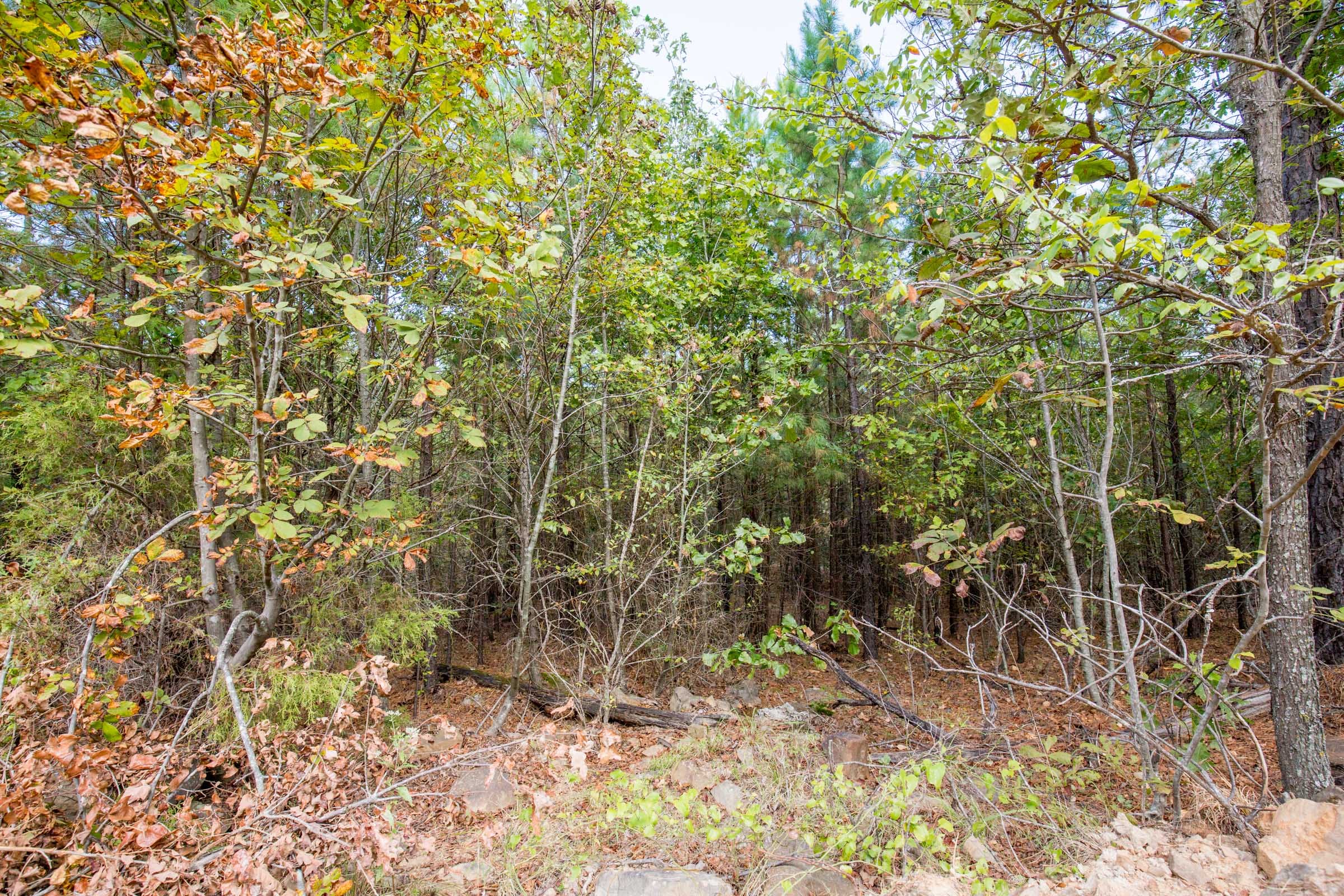 Stone Bridge Phase I Tract 68 photo 8