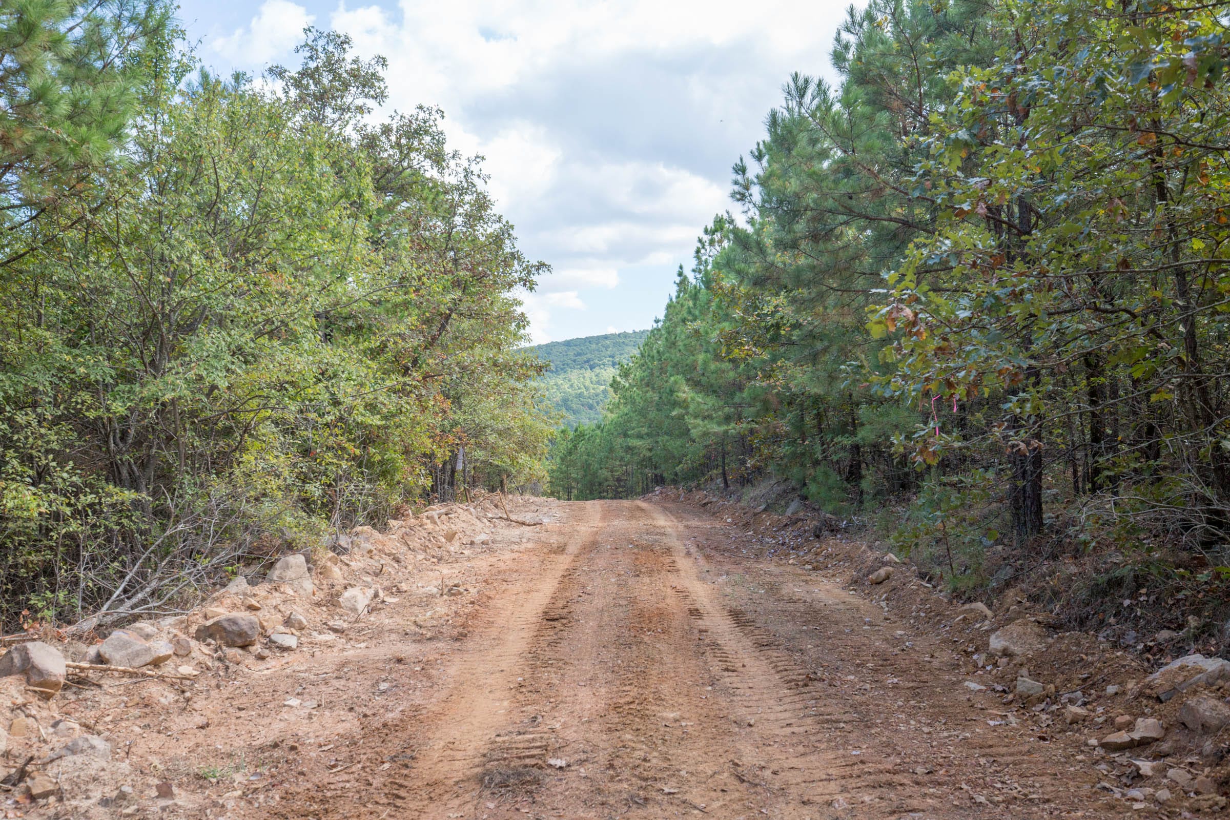 Stone Bridge Phase I Tract 68 photo 10