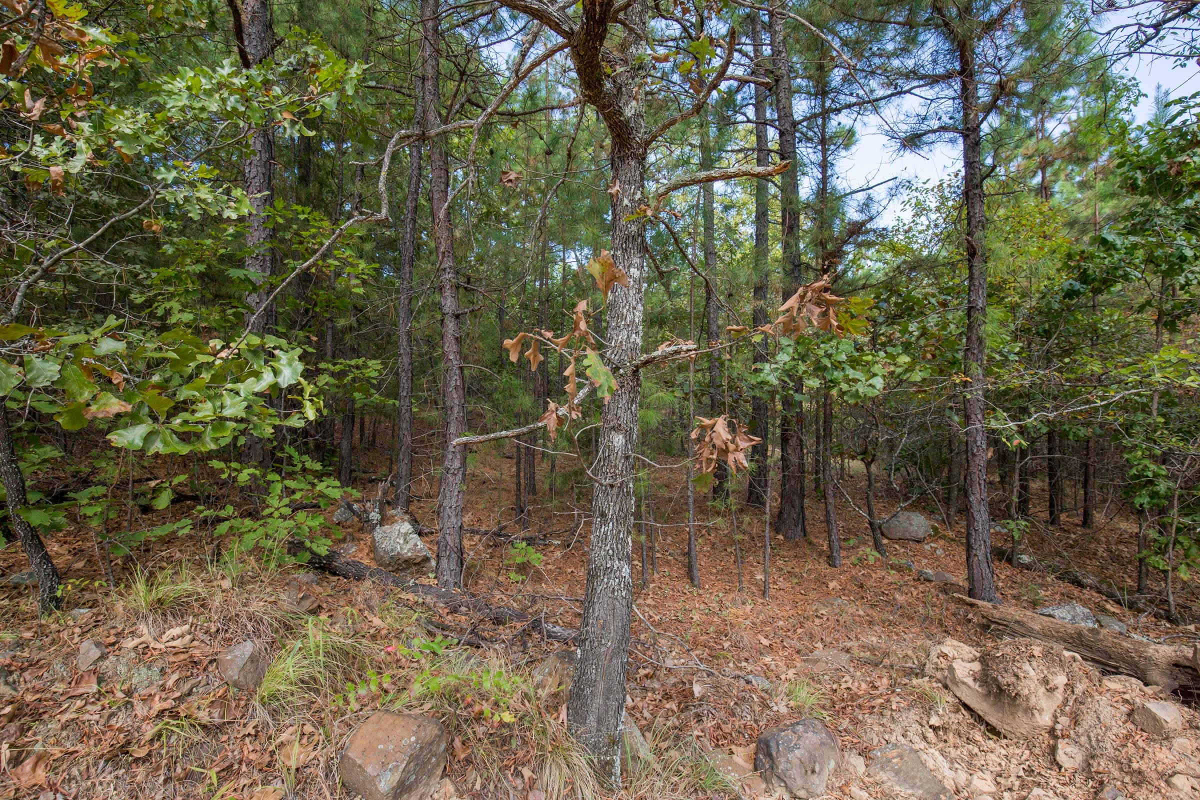 Stone Bridge Phase I Tract 68 photo 11