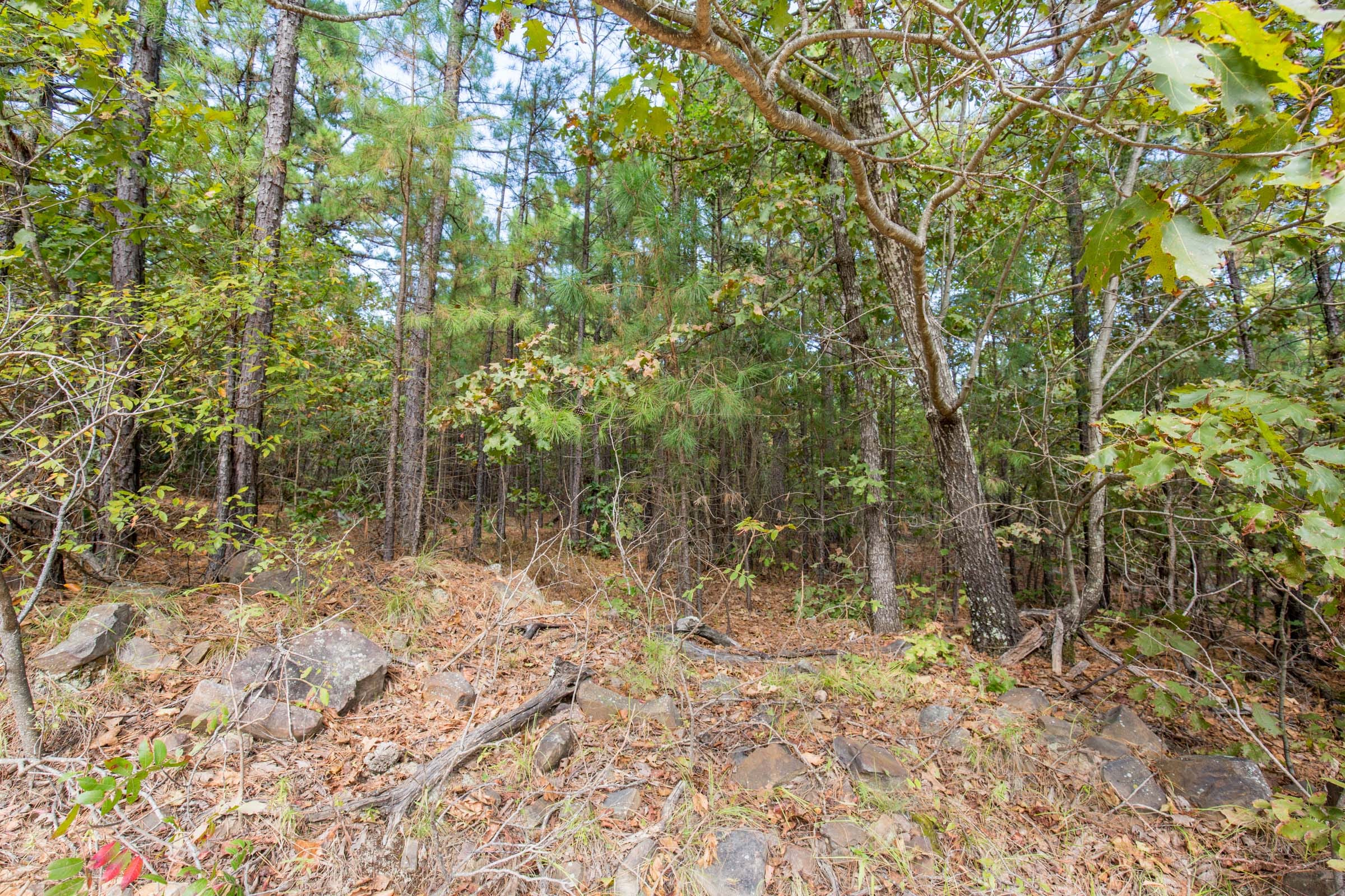 Stone Bridge Phase I Tract 68 photo 12
