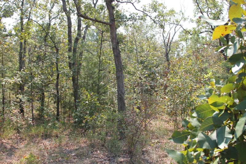 Lake View Ranch Tract 3 photo 1