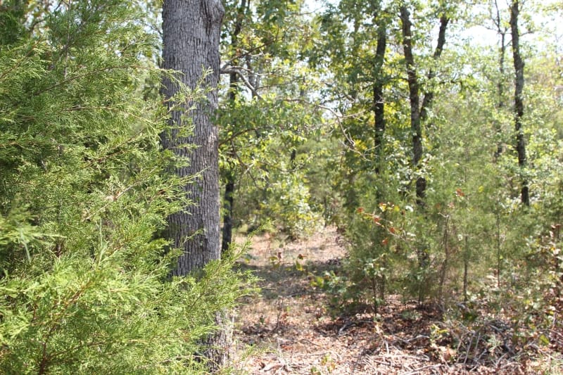 Lake View Ranch Tract 3 photo 2
