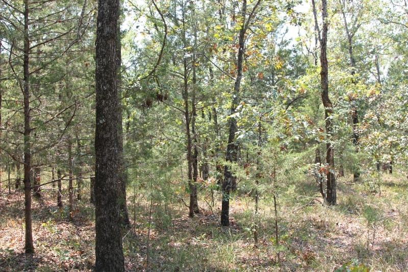 Lake View Ranch Tract 3 photo 3