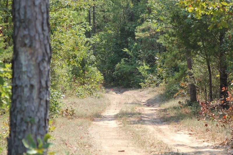 Lake View Ranch Tract 3 photo 6