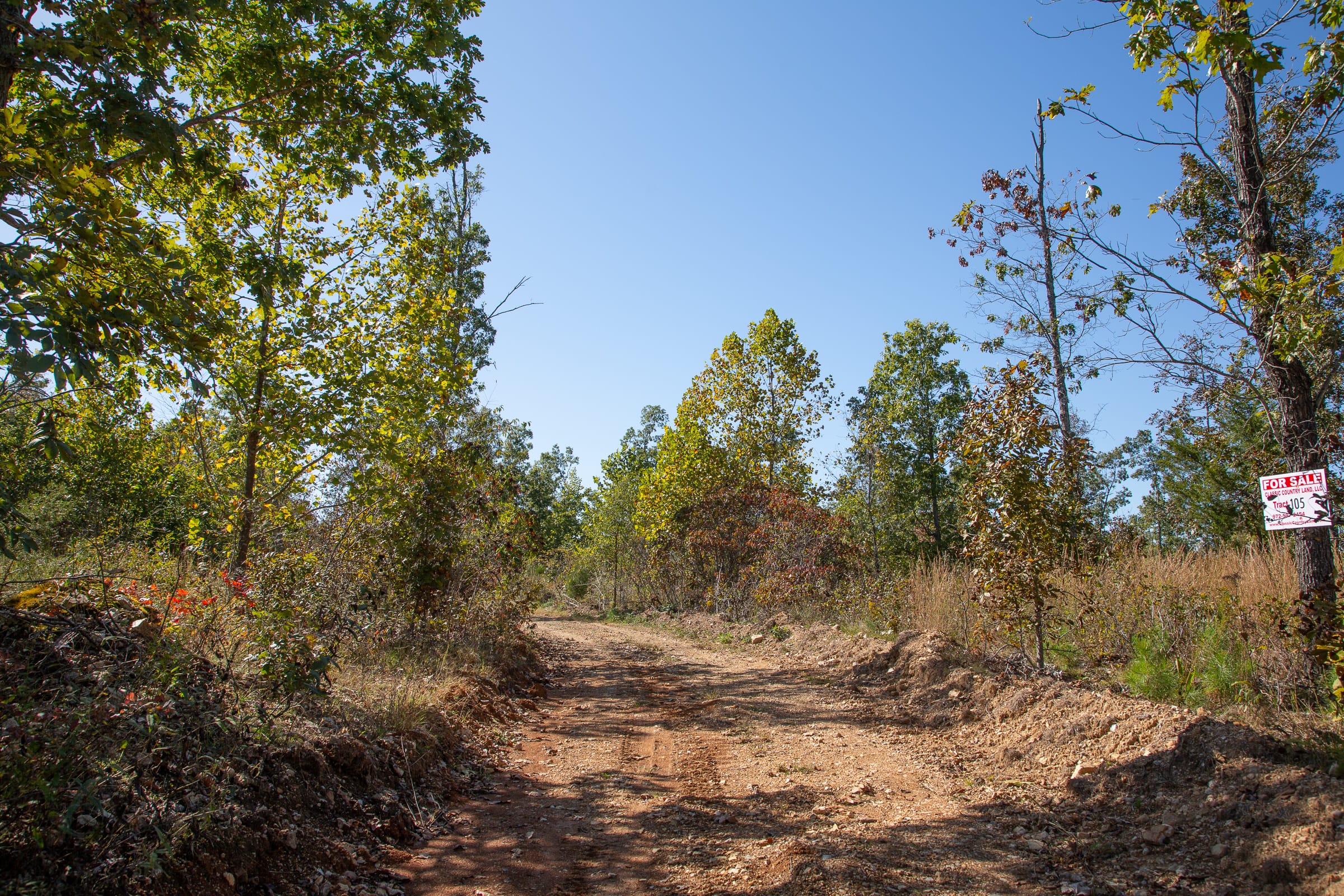 Borgmann’s Hollow Phase IV Tract 105 photo 1