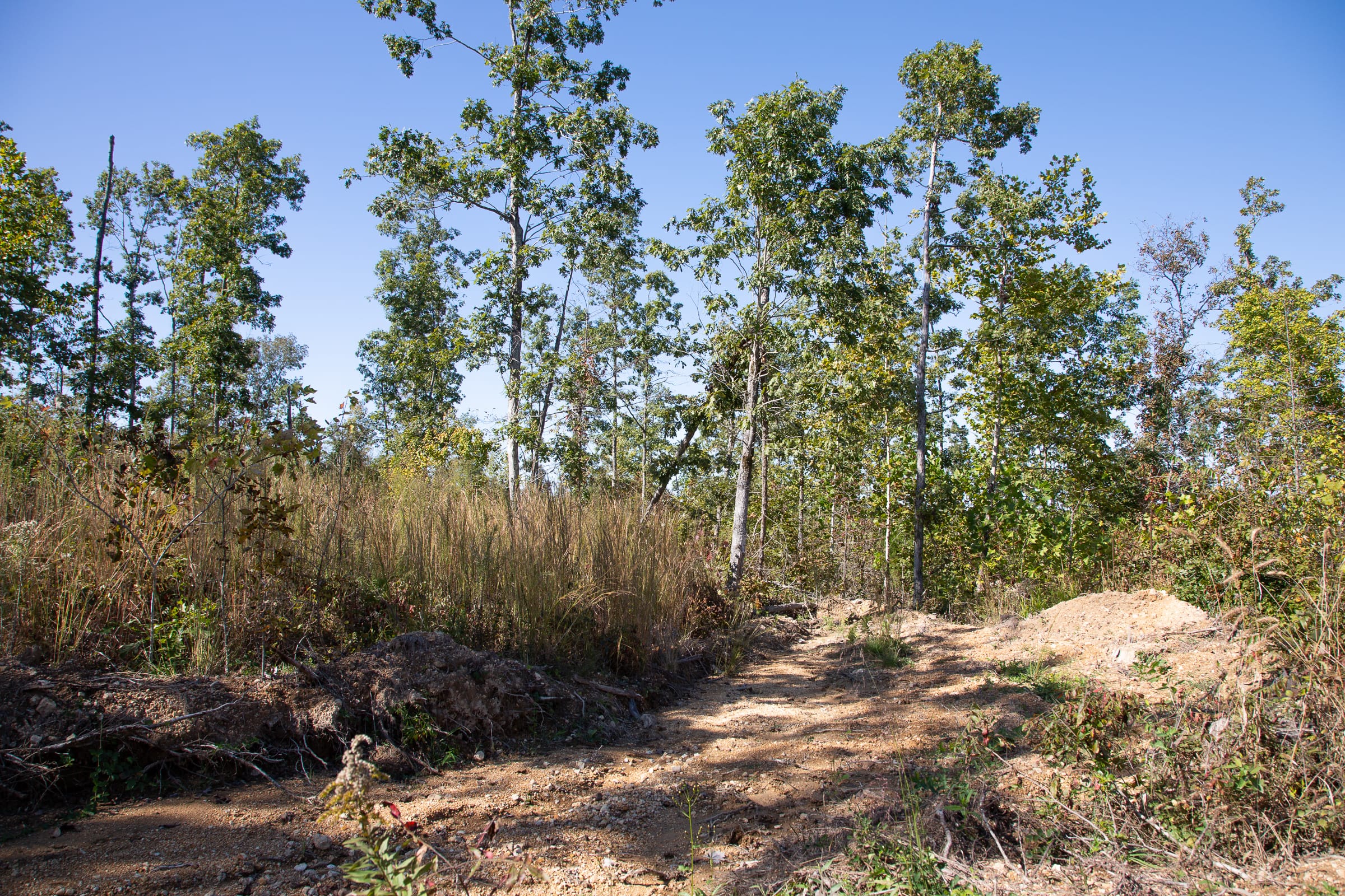 Borgmann’s Hollow Phase IV Tract 105 photo 6