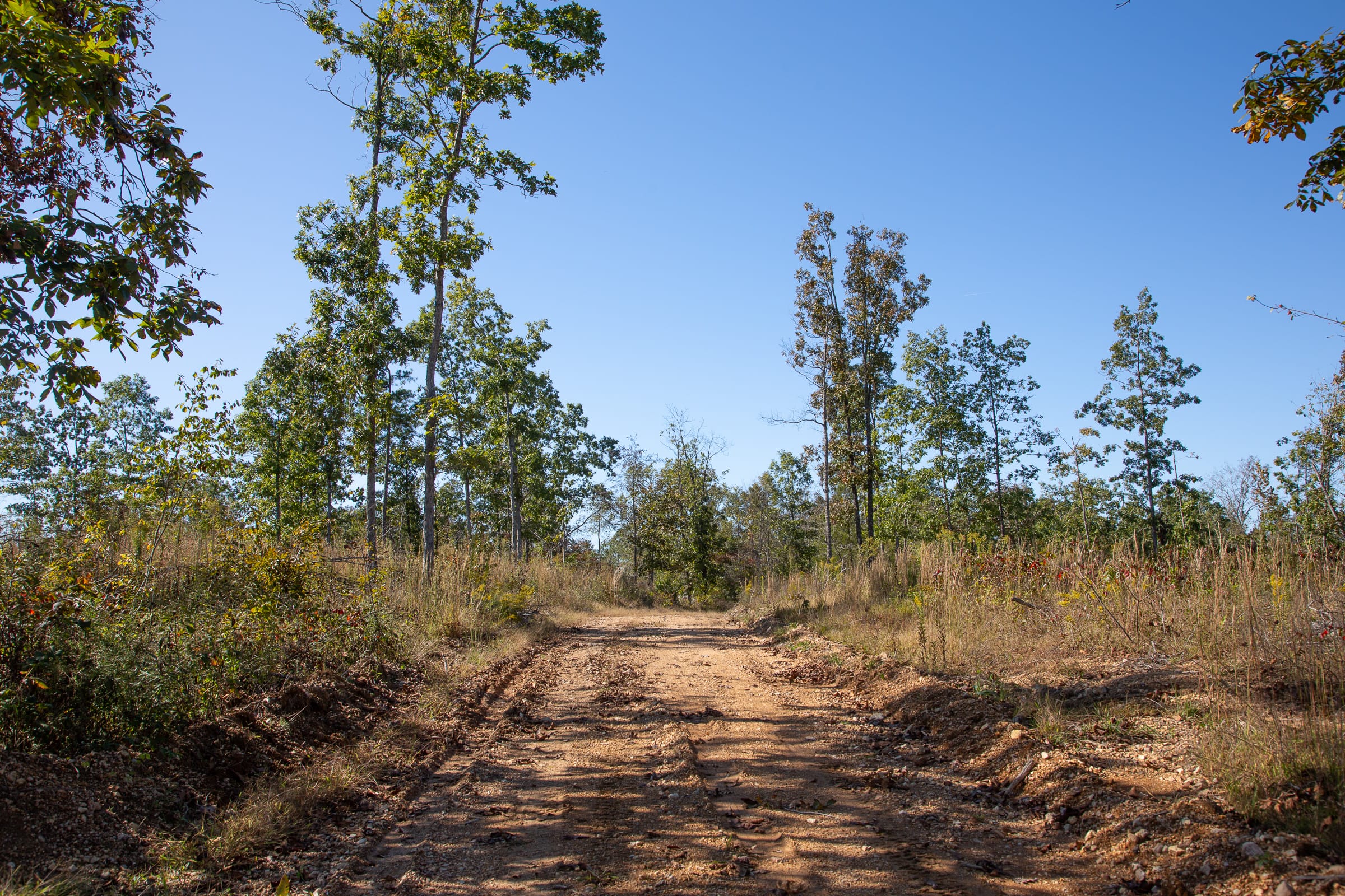 Borgmann’s Hollow Phase IV Tract 105 photo 5