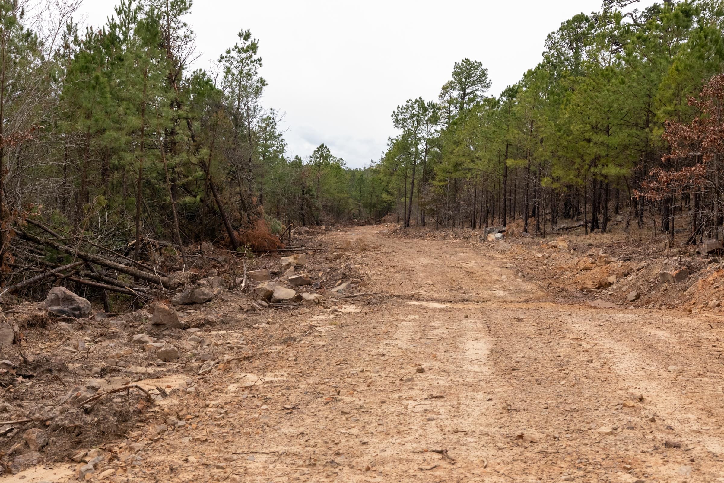 Stone Bridge Phase III Tract 199 photo 2