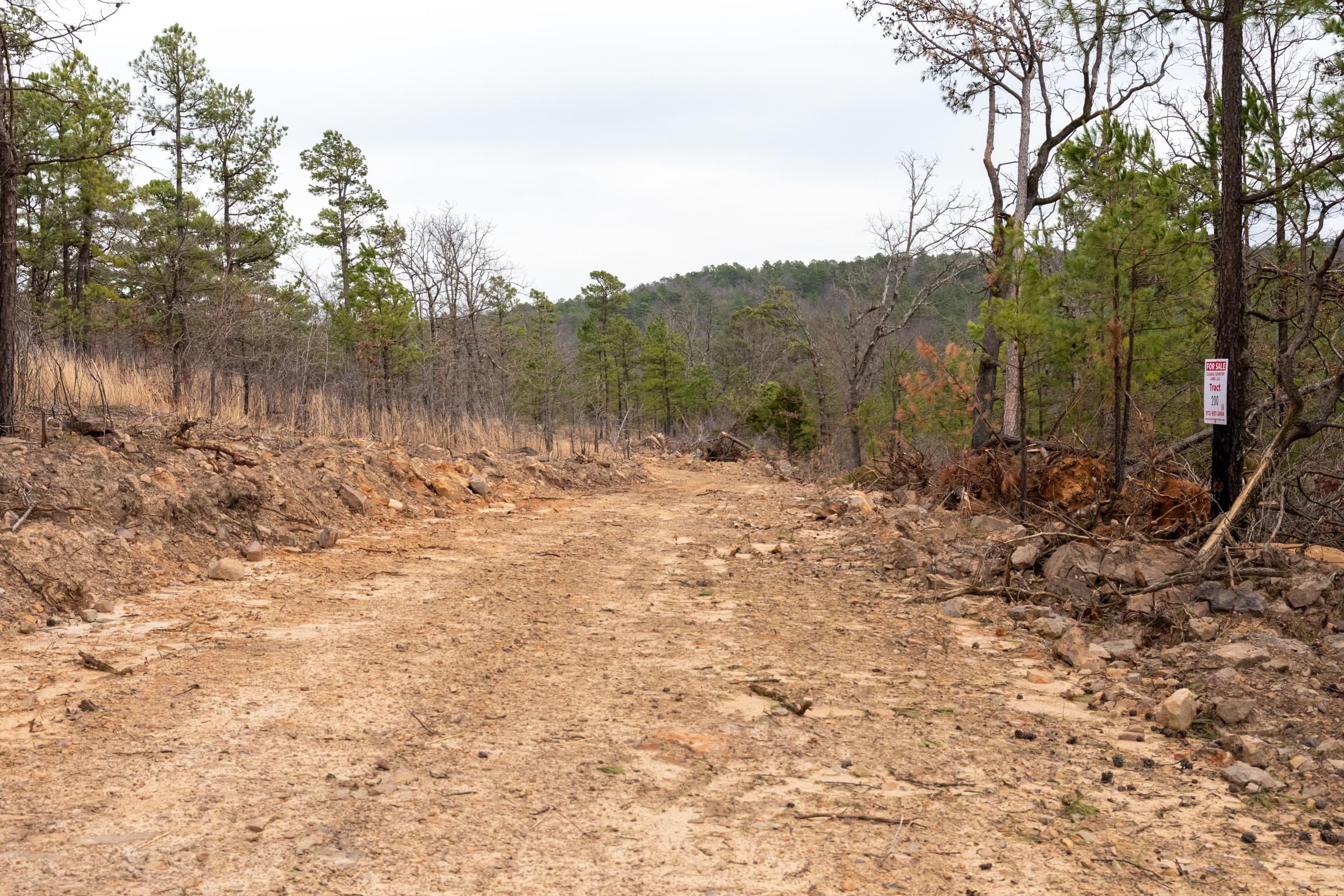 Stone Bridge Phase III Tract 199 photo 7