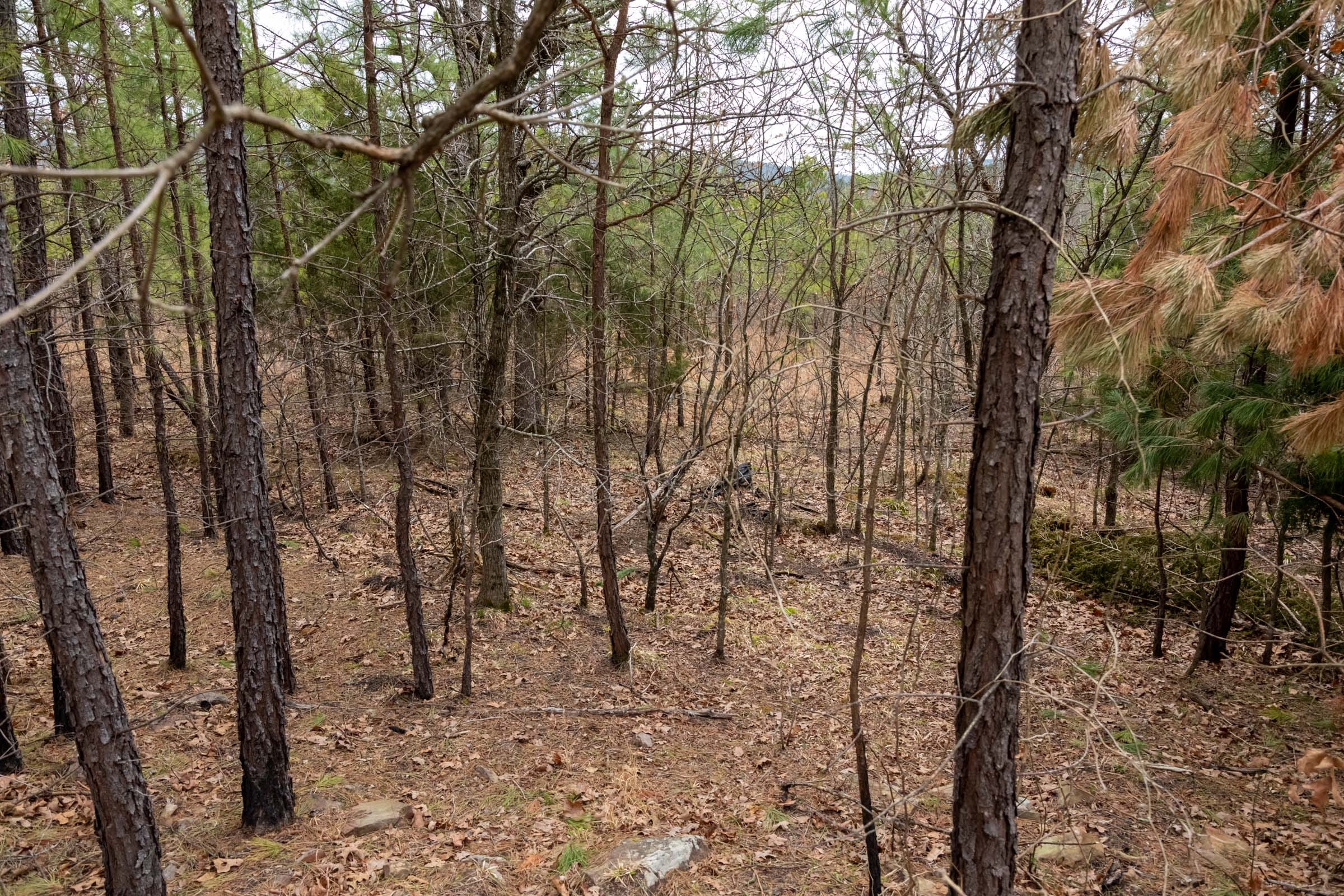 Stone Bridge Phase III Tract 199 photo 10