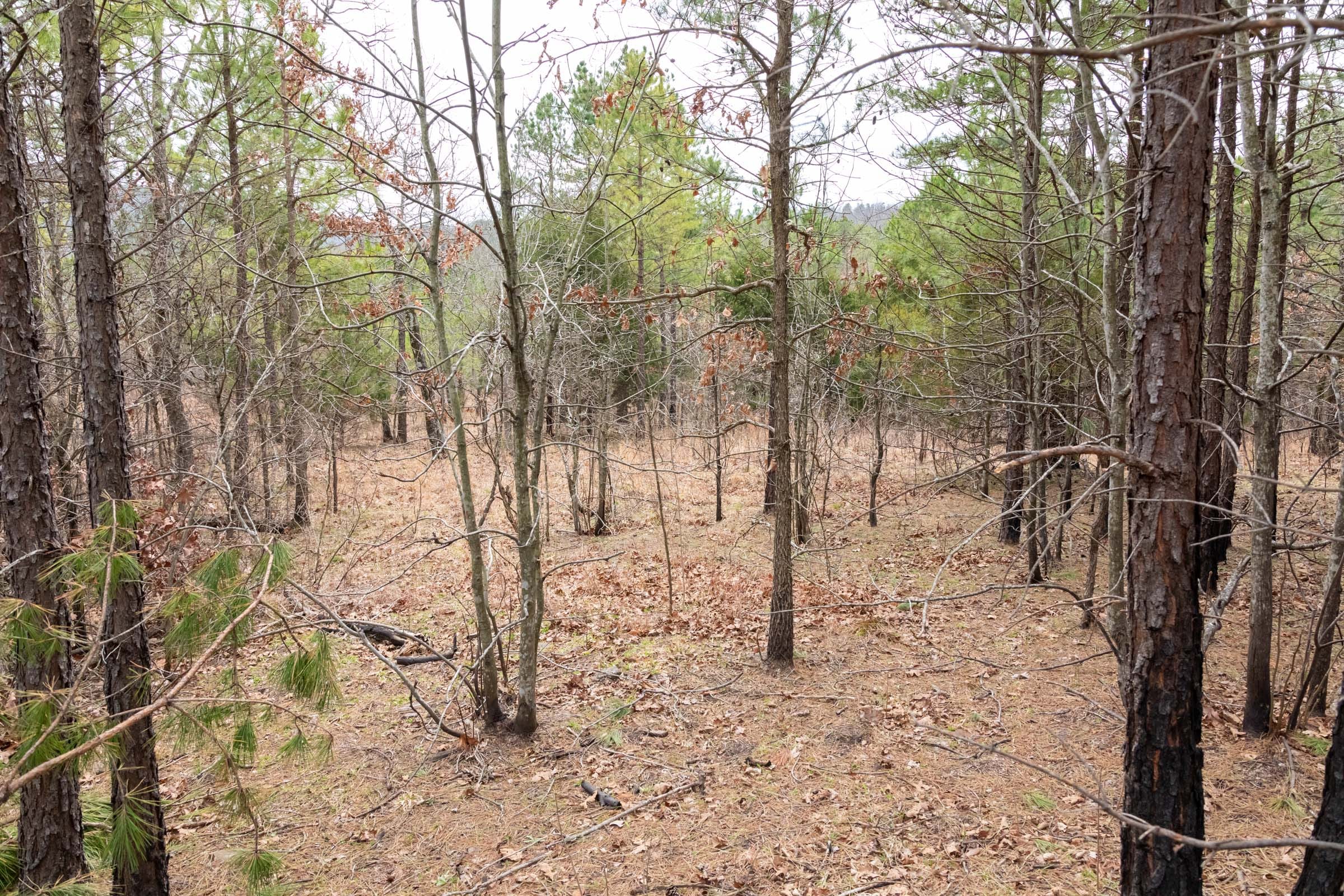 Stone Bridge Phase III Tract 199 photo 11