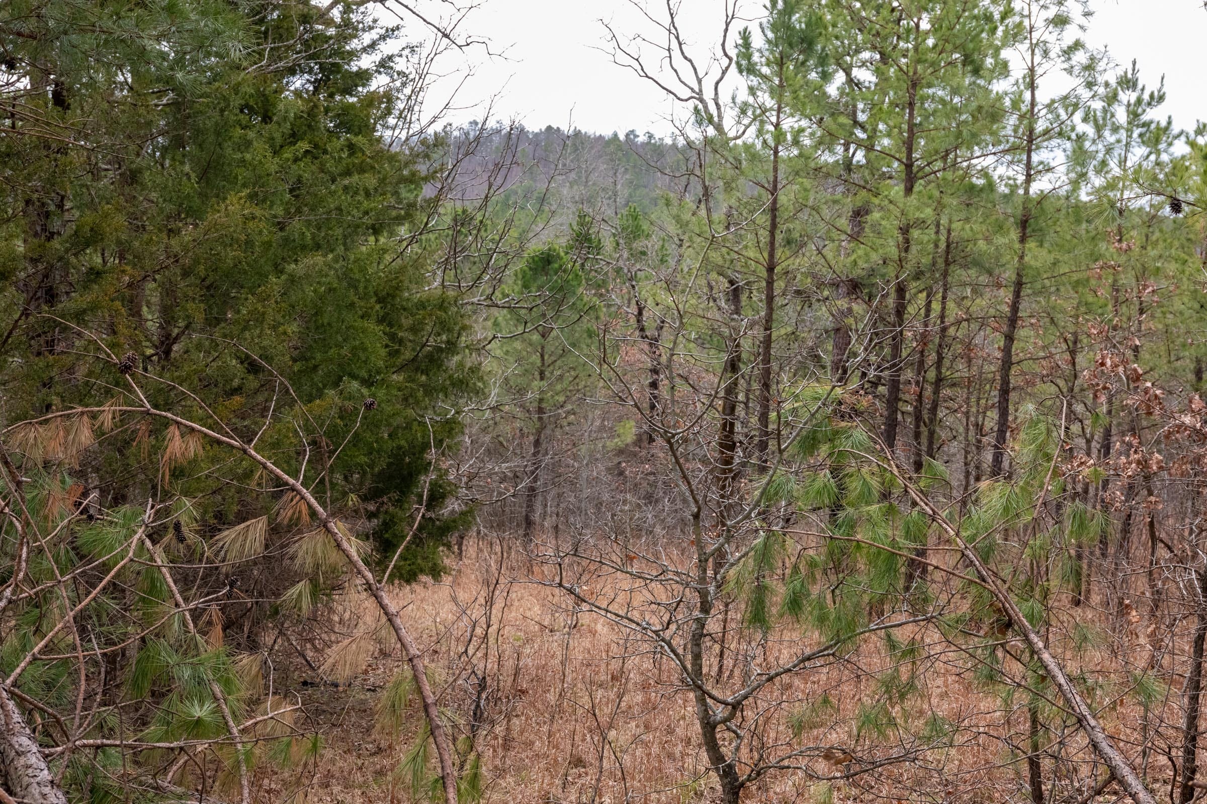 Stone Bridge Phase III Tract 199 photo 12